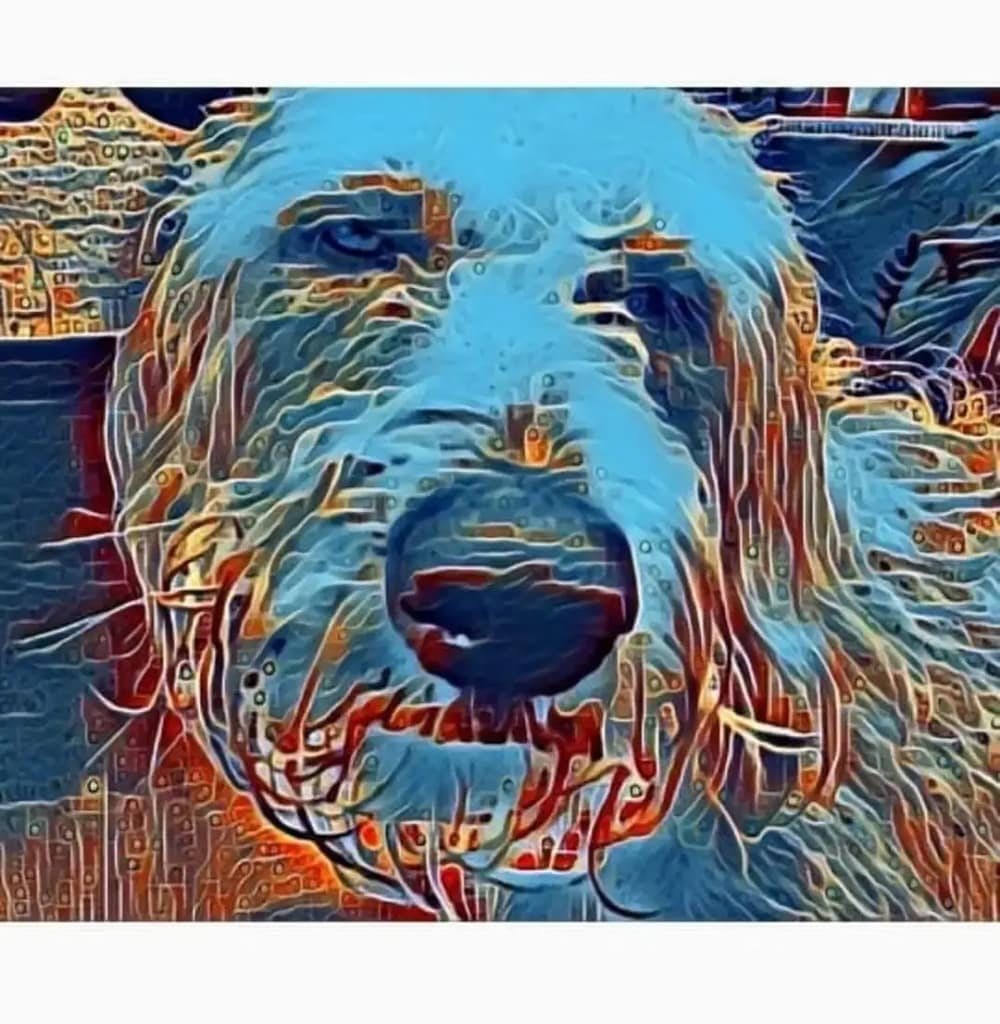 - Morgan Plantagenet: Ancestral Cryptology and Genetic Cartography News