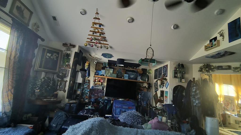 - Morgan Plantagenet: Ancestral Cryptology and Genetic Cartography News