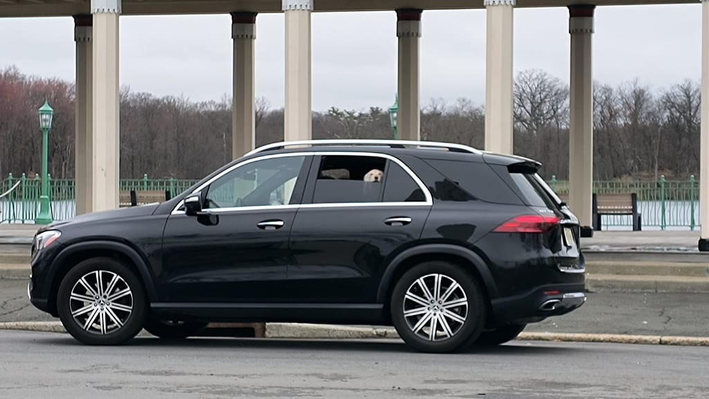 - Morgan Plantagenet: Ancestral Cryptology and Genetic Cartography News