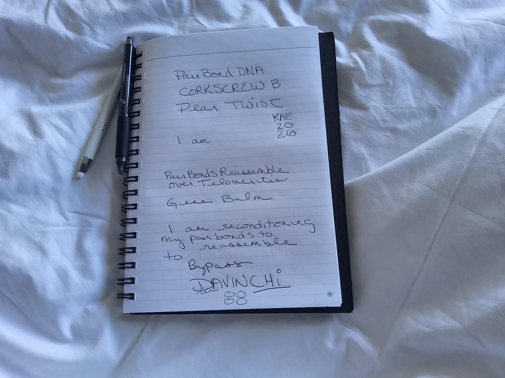 - Morgan Plantagenet: Ancestral Cryptology and Genetic Cartography News