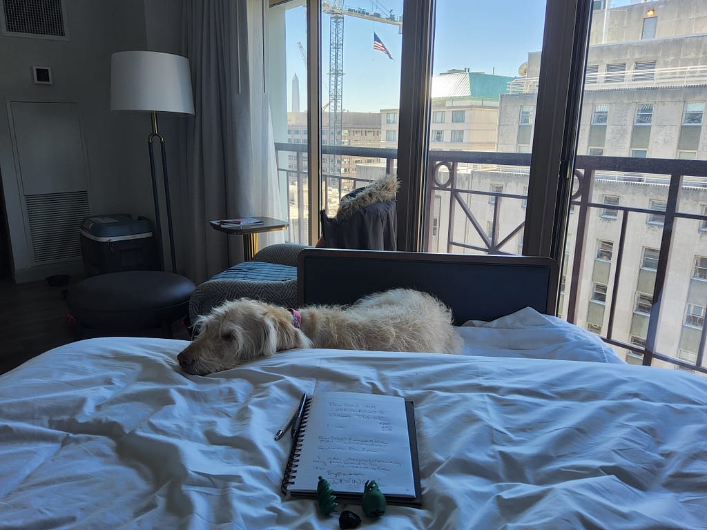 - Morgan Plantagenet: Ancestral Cryptology and Genetic Cartography News