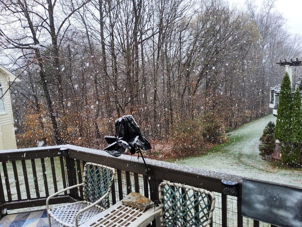 - Morgan Plantagenet: Ancestral Cryptology and Genetic Cartography News