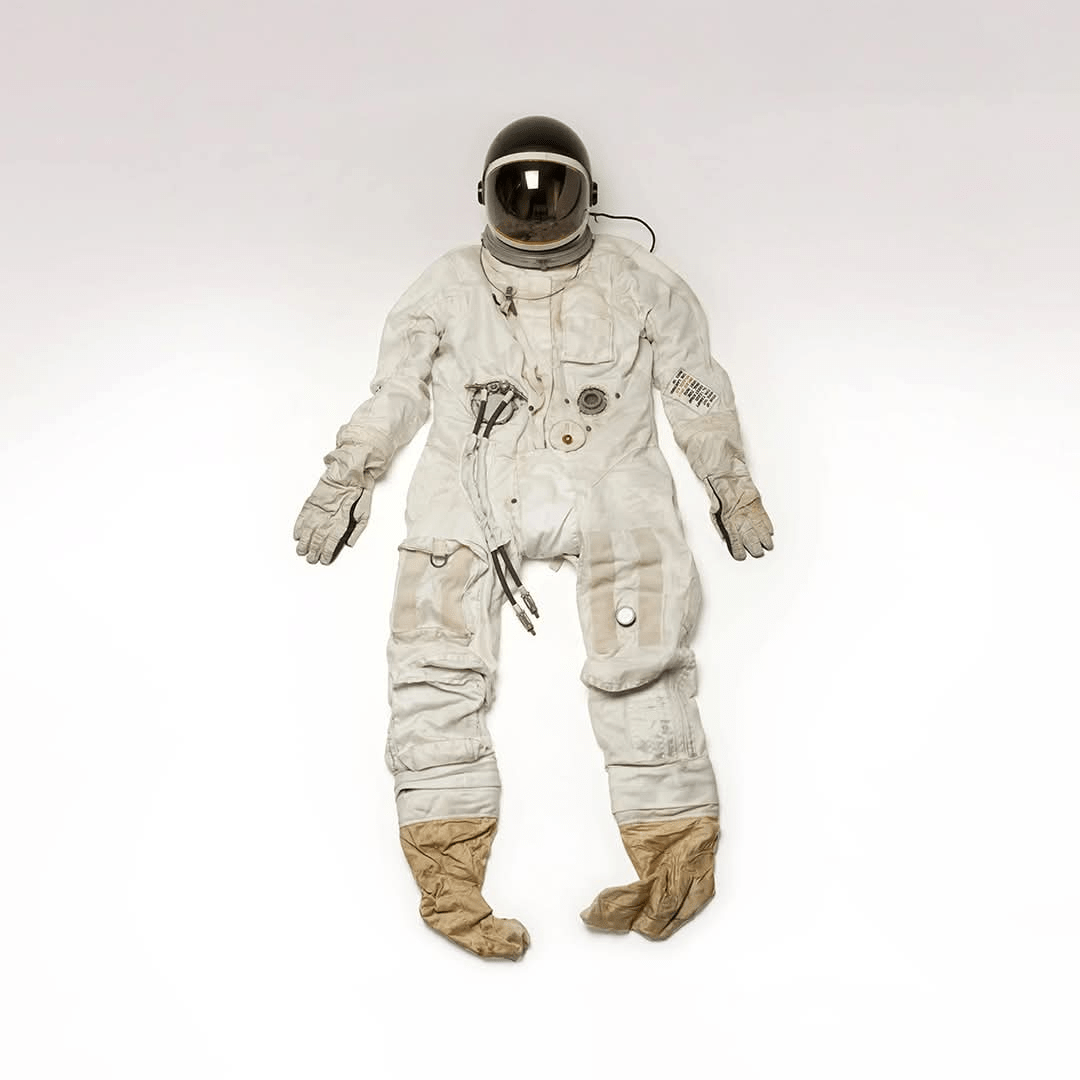 1000046508 - Morgan Plantagenet: Ancestral Cryptology and Genetic Cartography News 1000046508