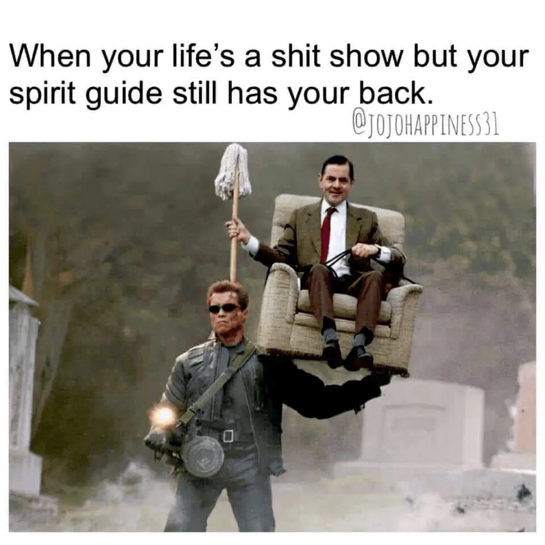 - Morgan Plantagenet: Ancestral Cryptology and Genetic Cartography News