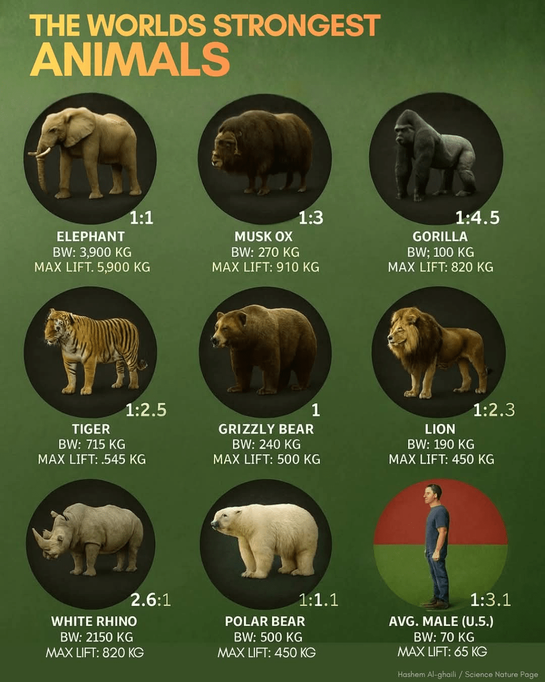 1000039521 - Morgan Plantagenet: Ancestral Cryptology and Genetic Cartography News 1000039521