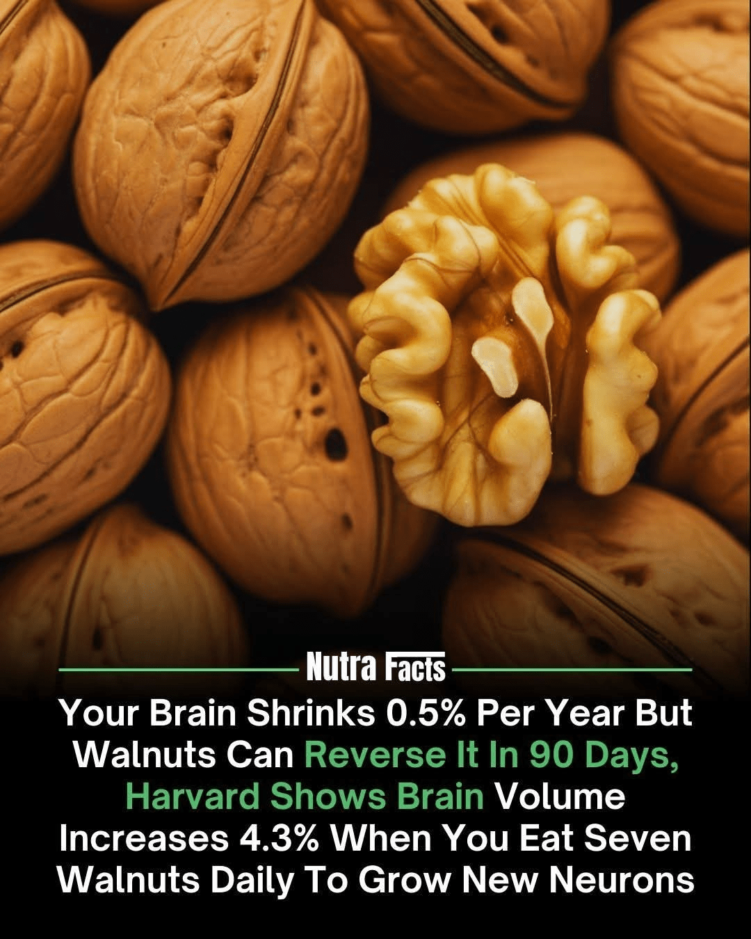 1000040595 - Morgan Plantagenet: Ancestral Cryptology and Genetic Cartography News 1000040595