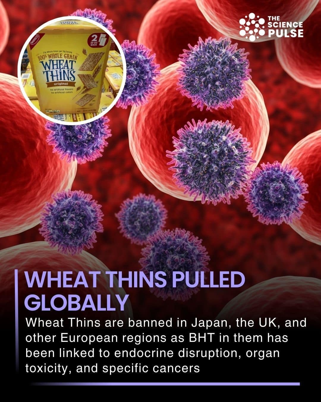 - Morgan Plantagenet: Ancestral Cryptology and Genetic Cartography News