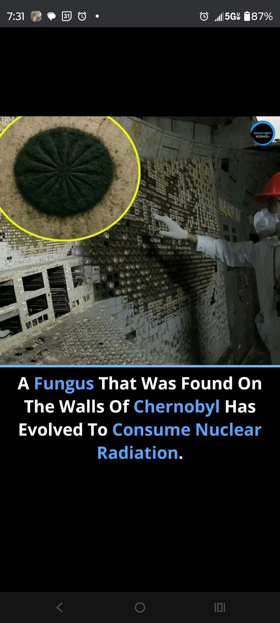 1000125764 - Morgan Plantagenet: Ancestral Cryptology and Genetic Cartography News 1000125764