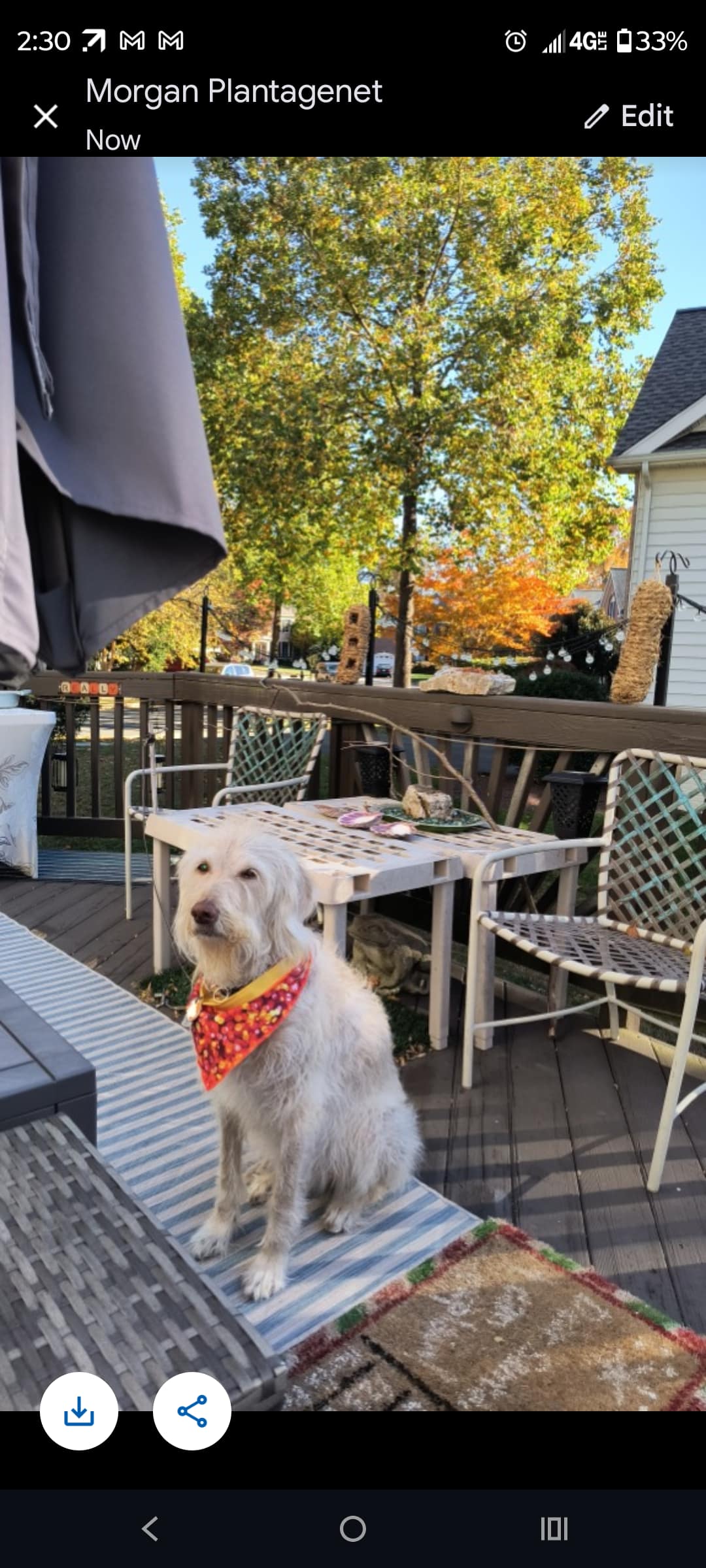 1000125996 - Morgan Plantagenet: Ancestral Cryptology and Genetic Cartography News 1000125996