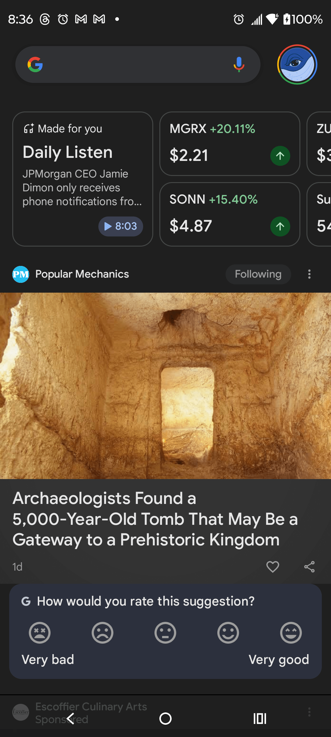 1000126416 - Morgan Plantagenet: Ancestral Cryptology and Genetic Cartography News 1000126416