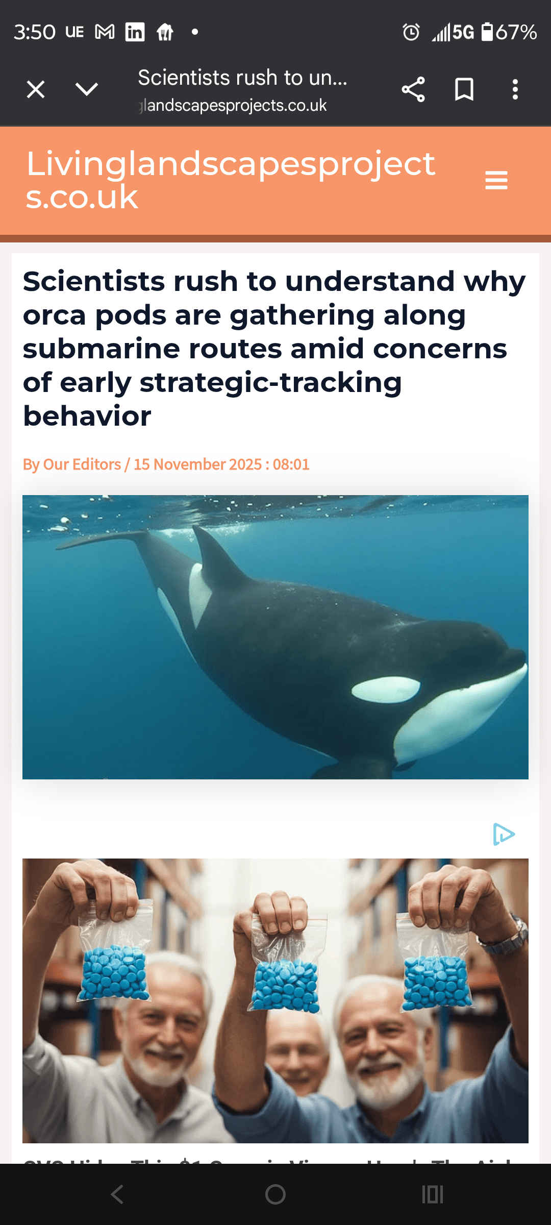 1000127032 - Morgan Plantagenet: Ancestral Cryptology and Genetic Cartography News 1000127032