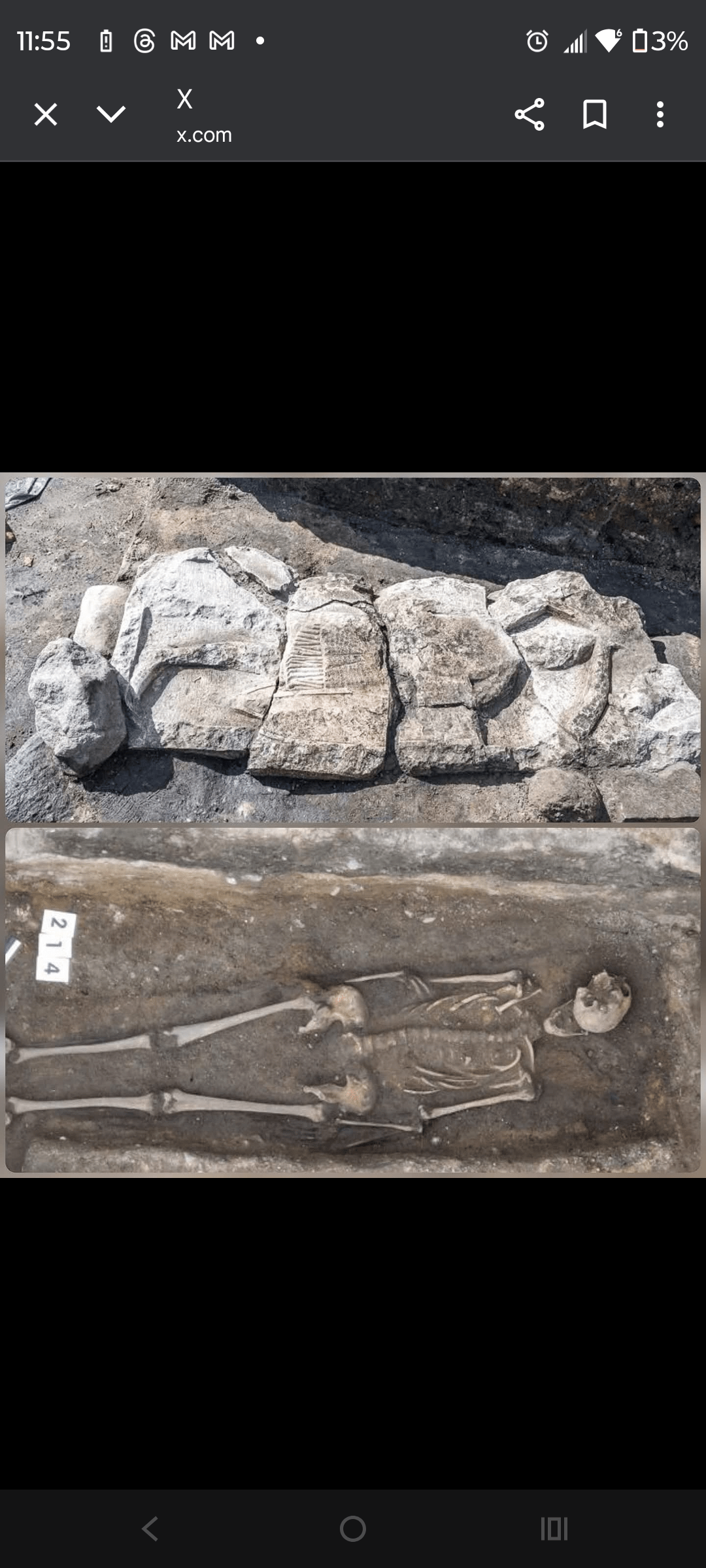 1000127157 - Morgan Plantagenet: Ancestral Cryptology and Genetic Cartography News 1000127157