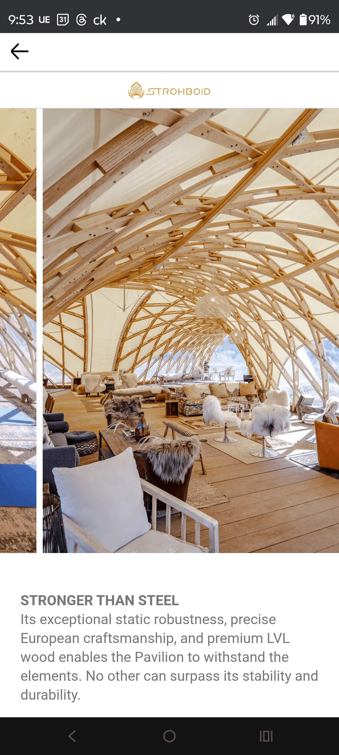 1000127379 - Morgan Plantagenet: Ancestral Cryptology and Genetic Cartography News 1000127379