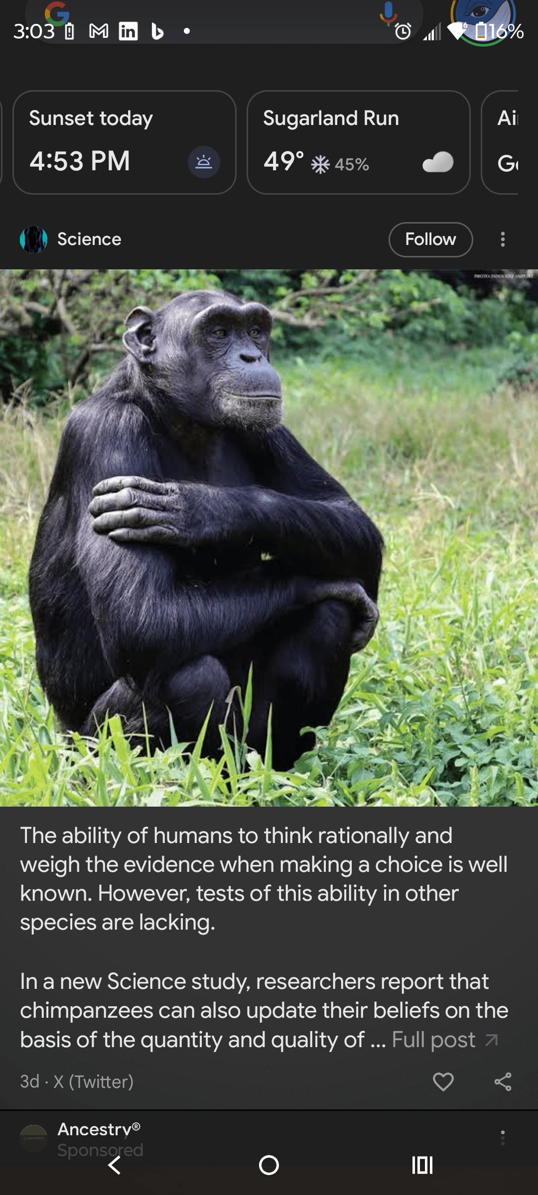 1000127725 - Morgan Plantagenet: Ancestral Cryptology and Genetic Cartography News 1000127725