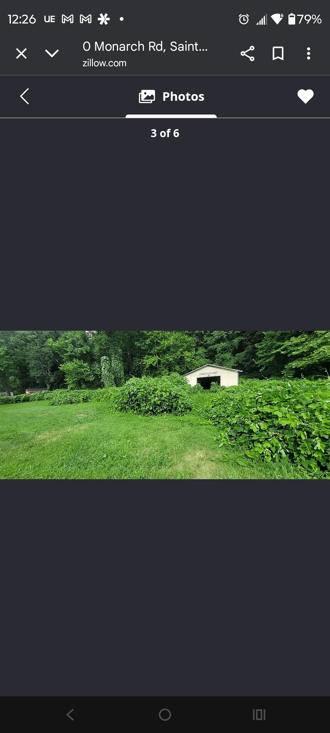 1000129998 - Morgan Plantagenet: Ancestral Cryptology and Genetic Cartography News 1000129998