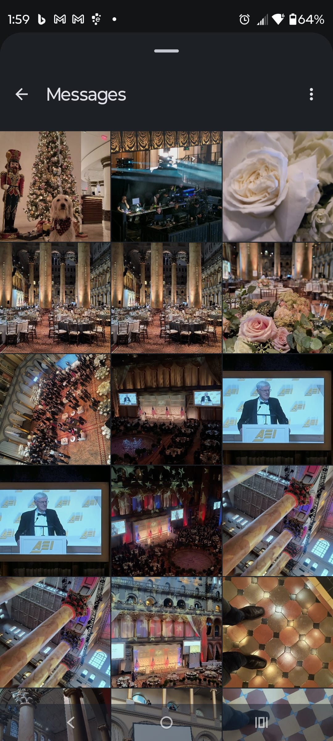 1000130014 - Morgan Plantagenet: Ancestral Cryptology and Genetic Cartography News 1000130014