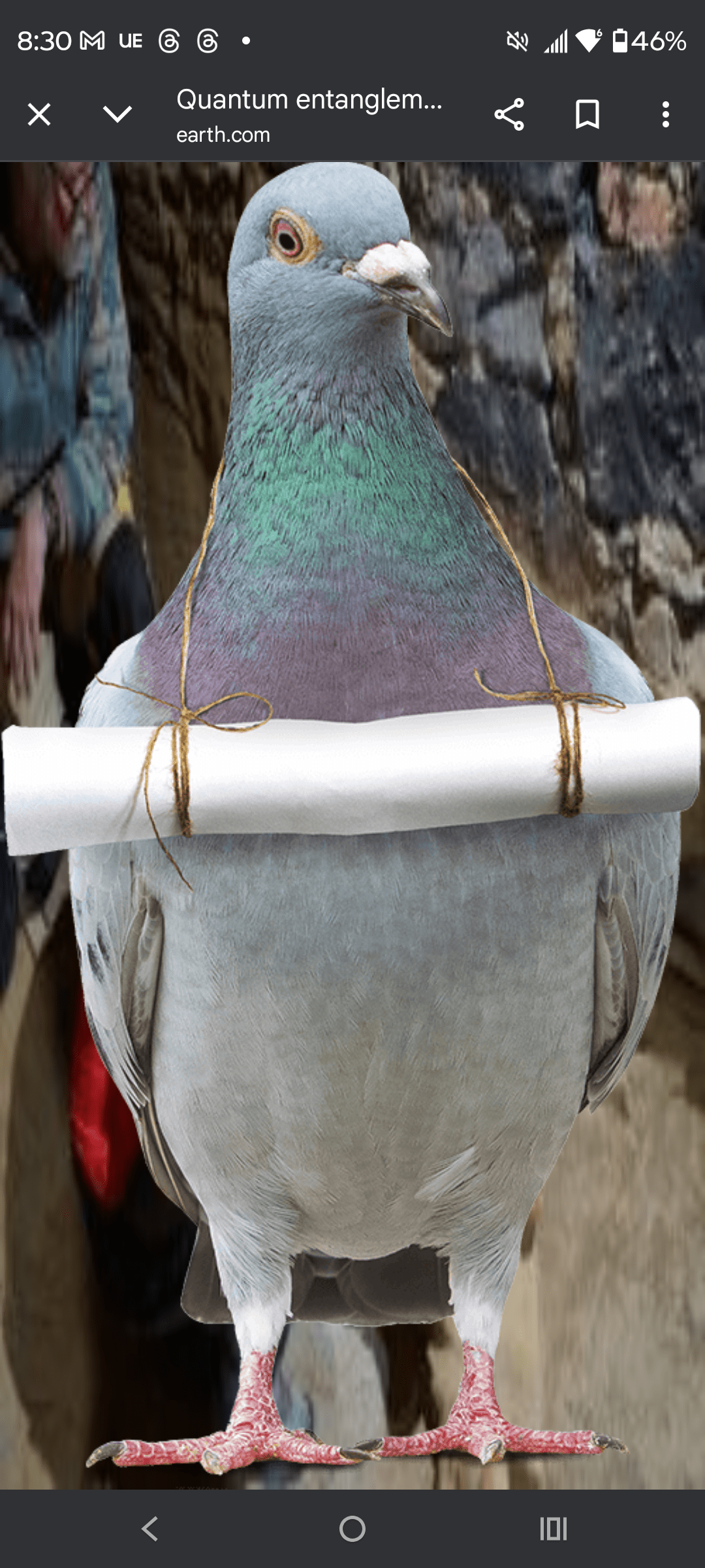 - Morgan Plantagenet: Ancestral Cryptology and Genetic Cartography News