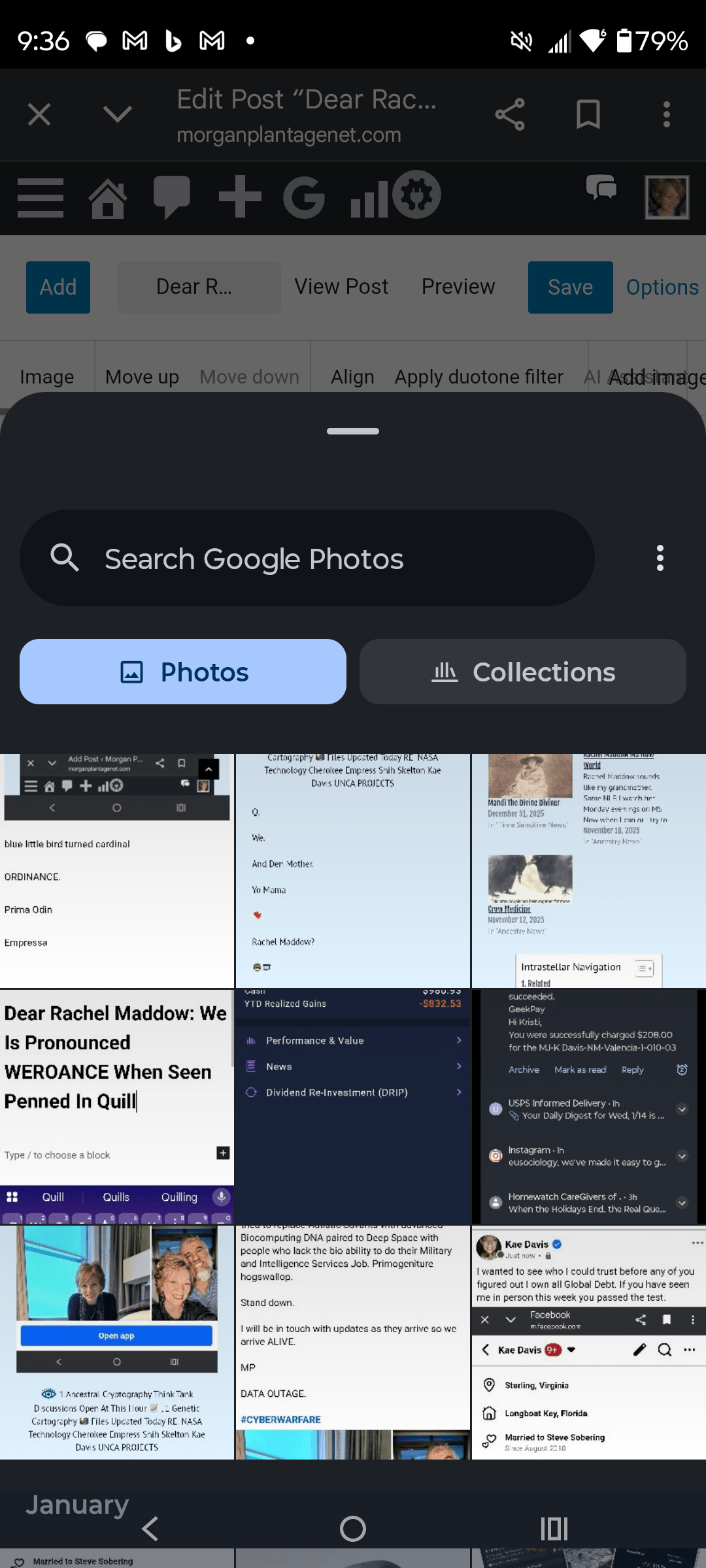 - Morgan Plantagenet: Ancestral Cryptology and Genetic Cartography News