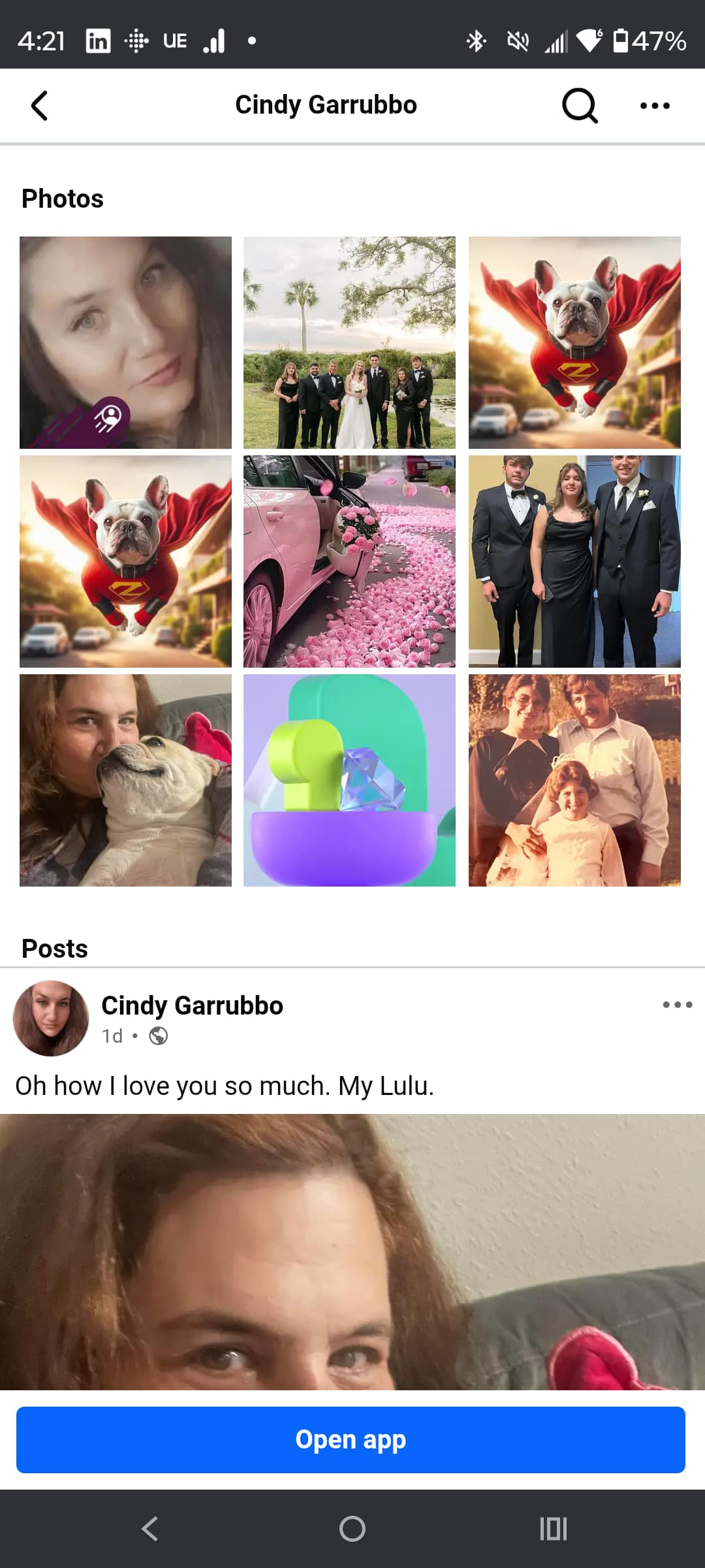 - Morgan Plantagenet: Ancestral Cryptology and Genetic Cartography News