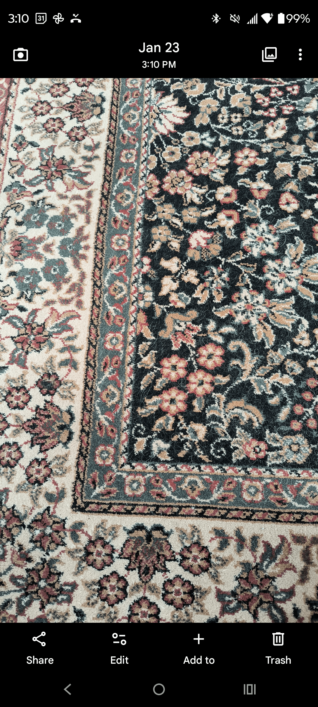 1000134392 - Morgan Plantagenet: Ancestral Cryptology and Genetic Cartography News 1000134392