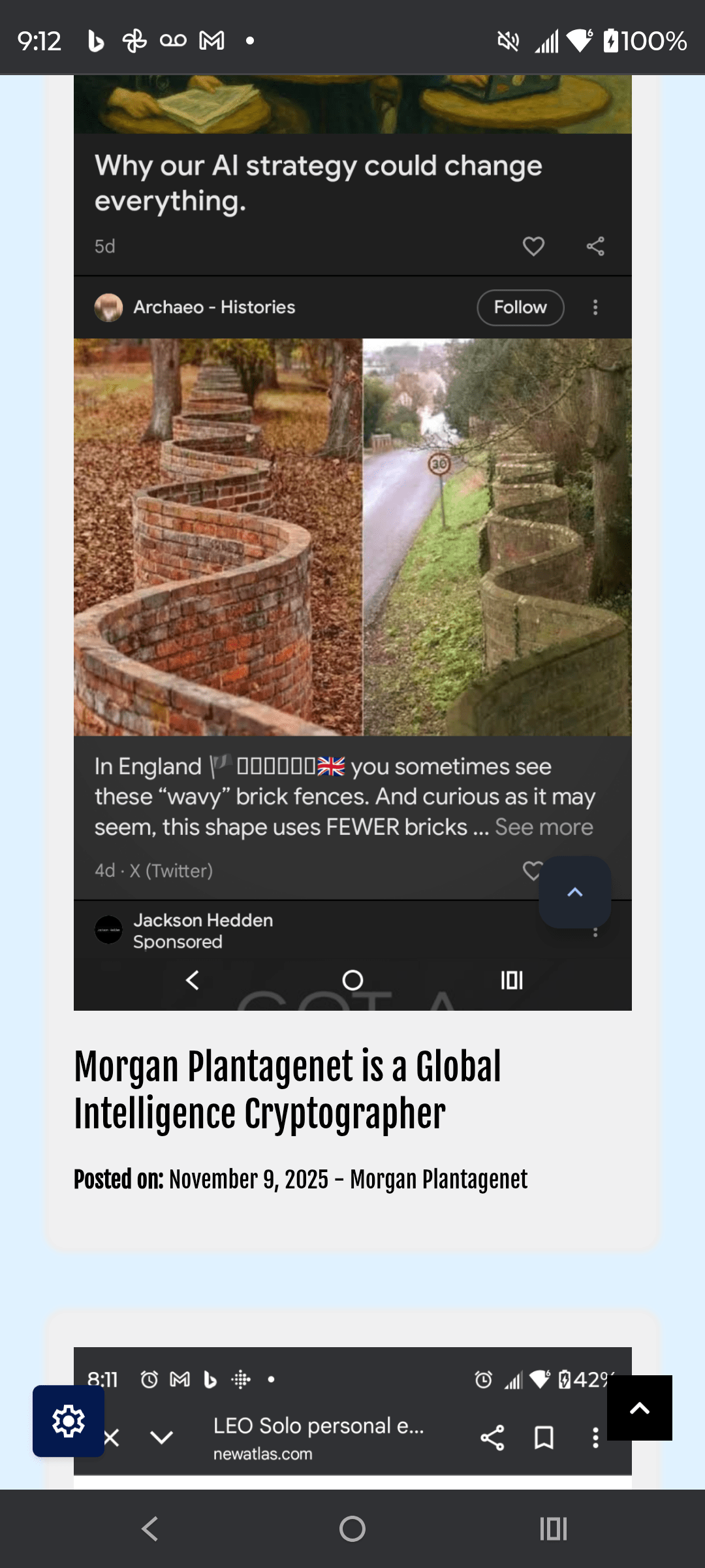 1000135502 - Morgan Plantagenet: Ancestral Cryptology and Genetic Cartography News 1000135502