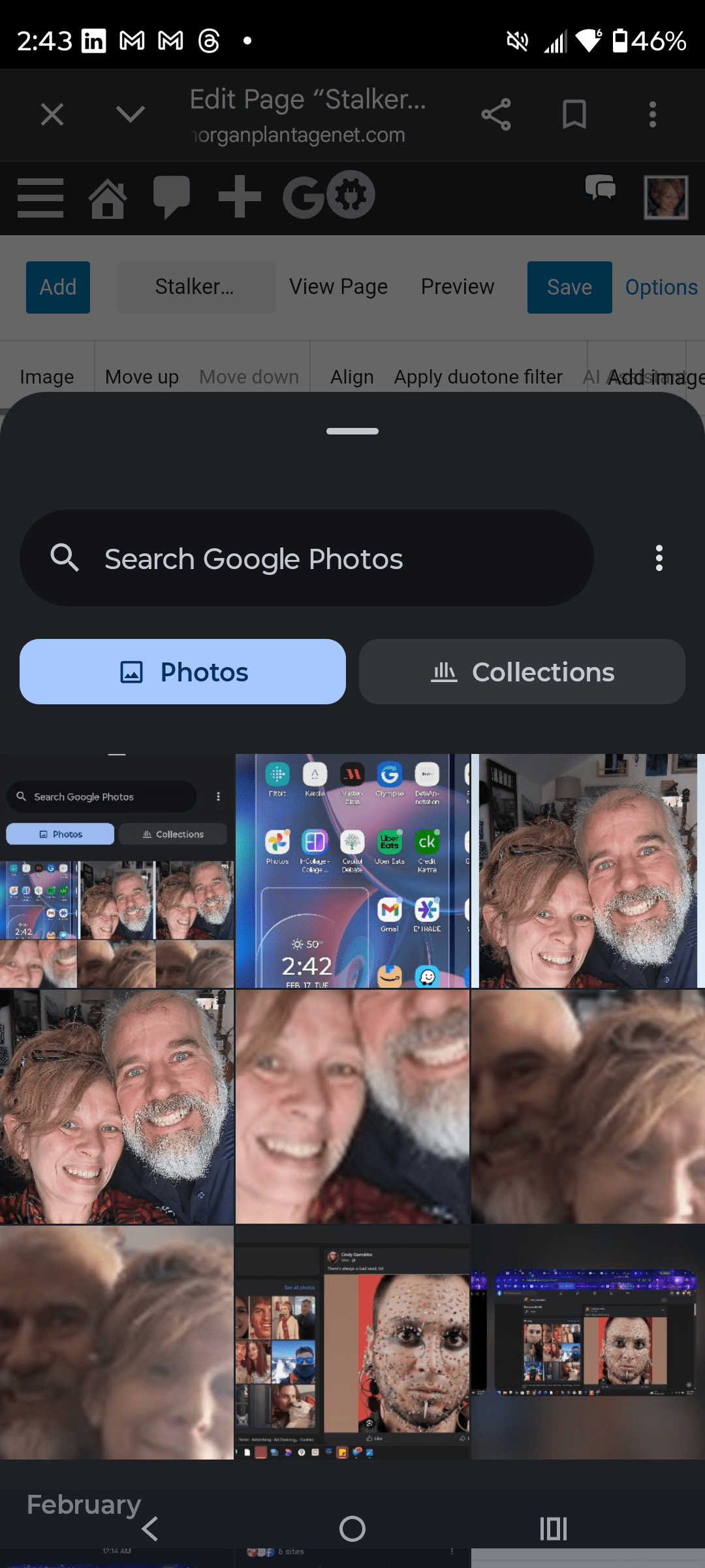 - Morgan Plantagenet: Ancestral Cryptology and Genetic Cartography News