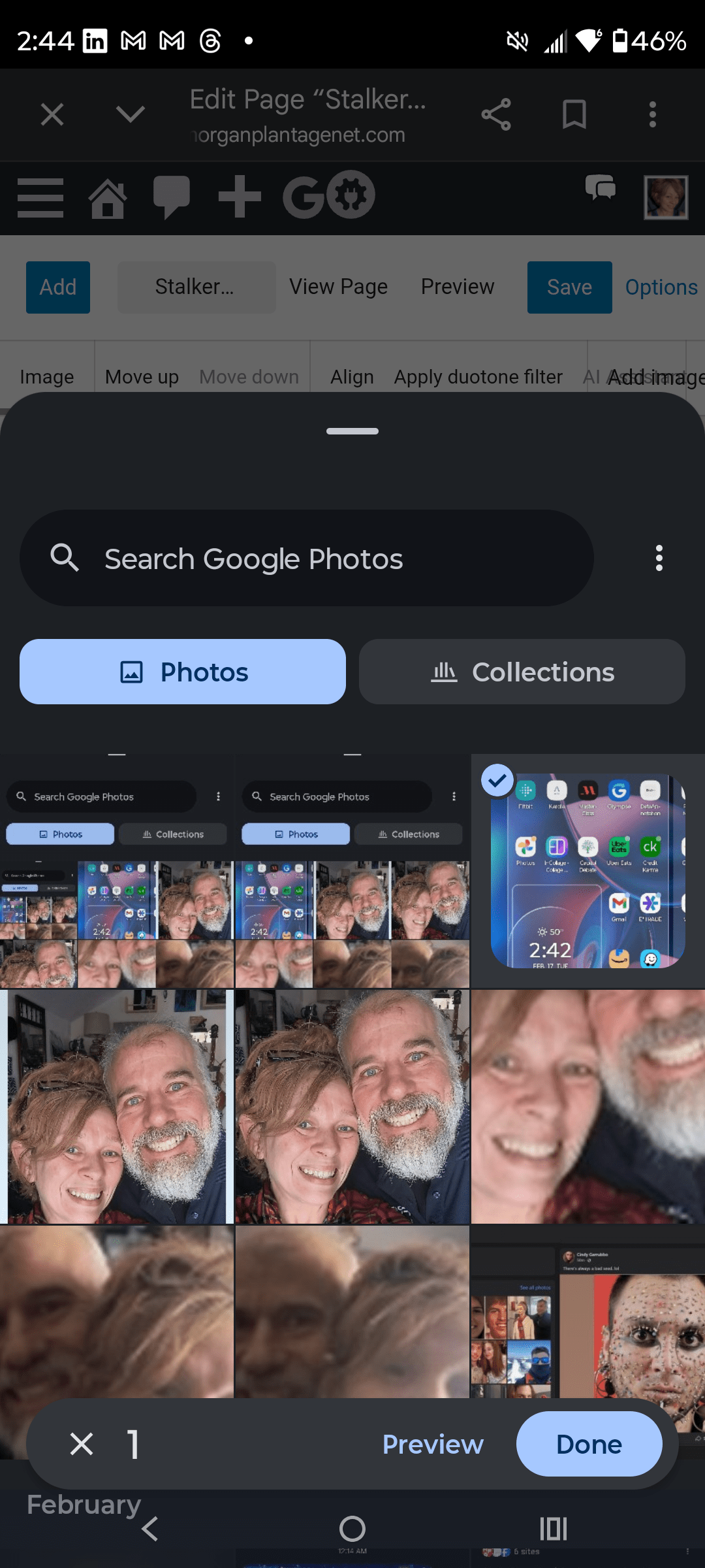 - Morgan Plantagenet: Ancestral Cryptology and Genetic Cartography News