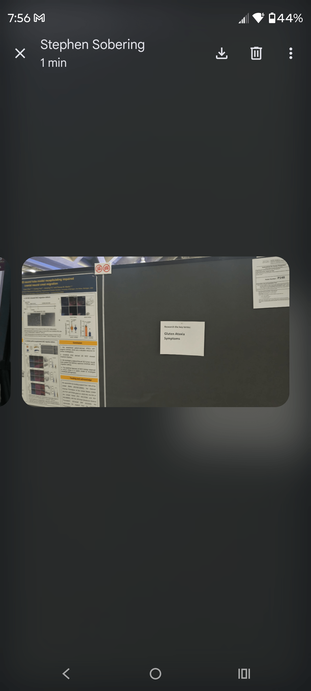 - Morgan Plantagenet: Ancestral Cryptology and Genetic Cartography News