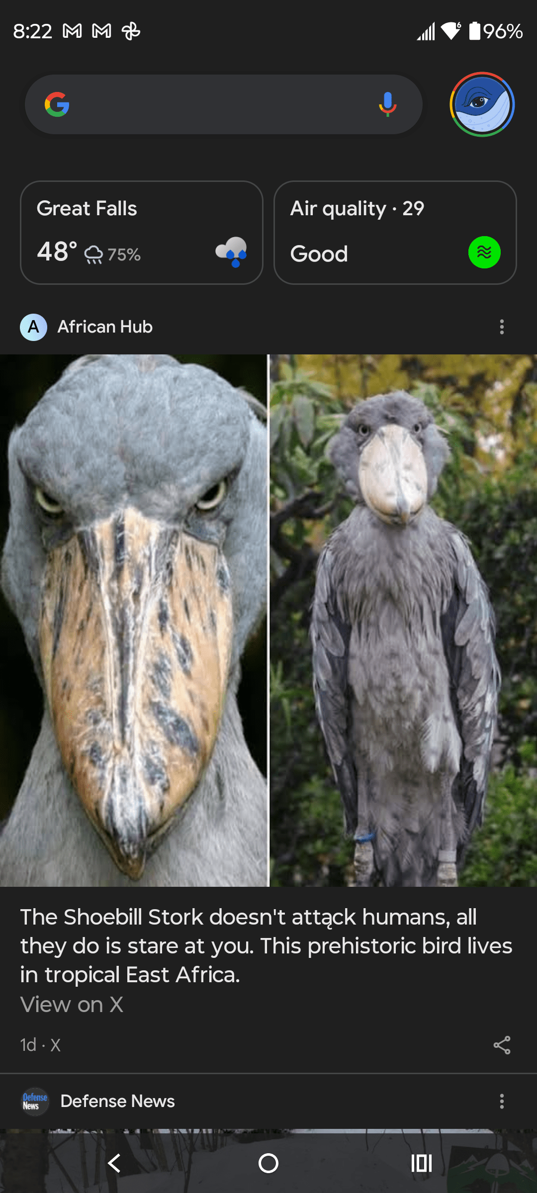 1000139660 - Morgan Plantagenet: Ancestral Cryptology and Genetic Cartography News 1000139660