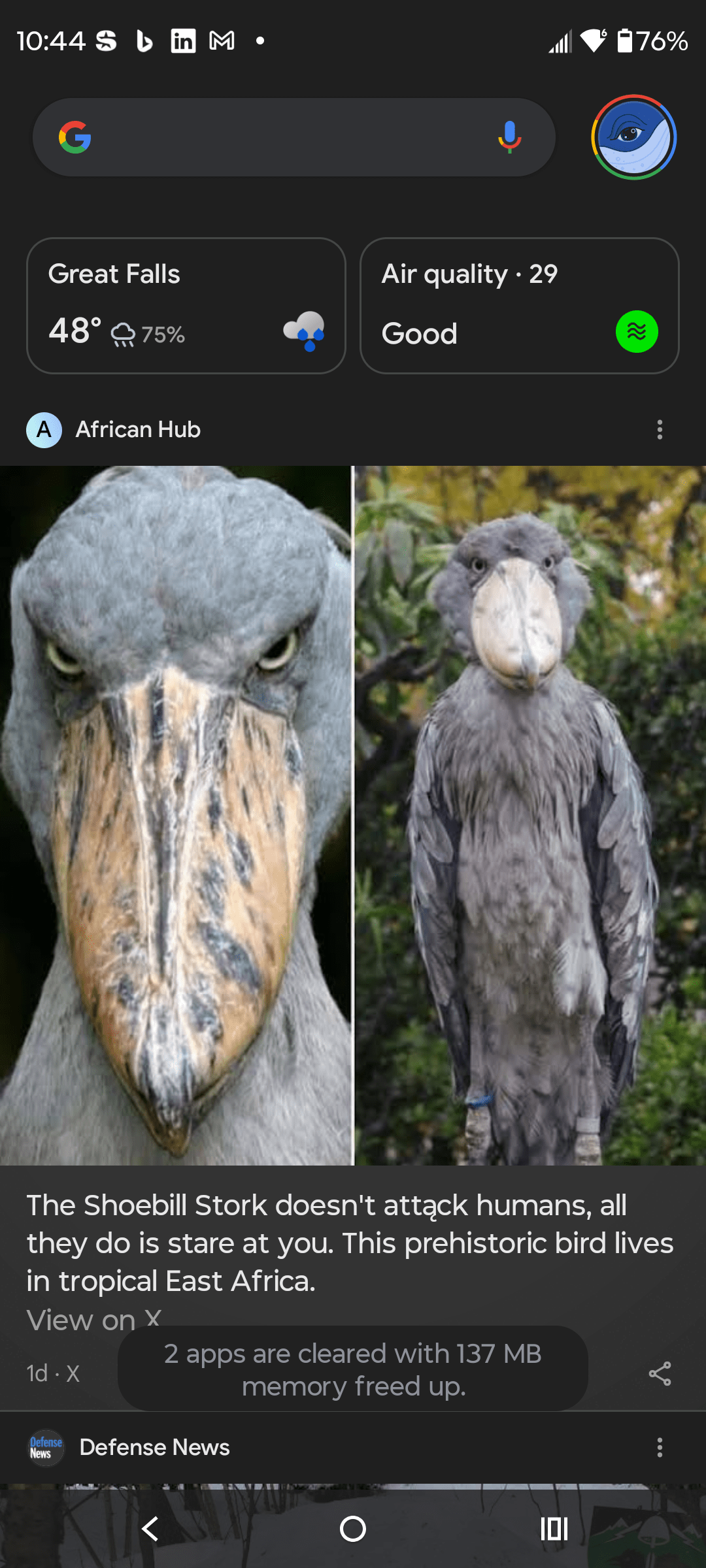 1000139720 - Morgan Plantagenet: Ancestral Cryptology and Genetic Cartography News 1000139720