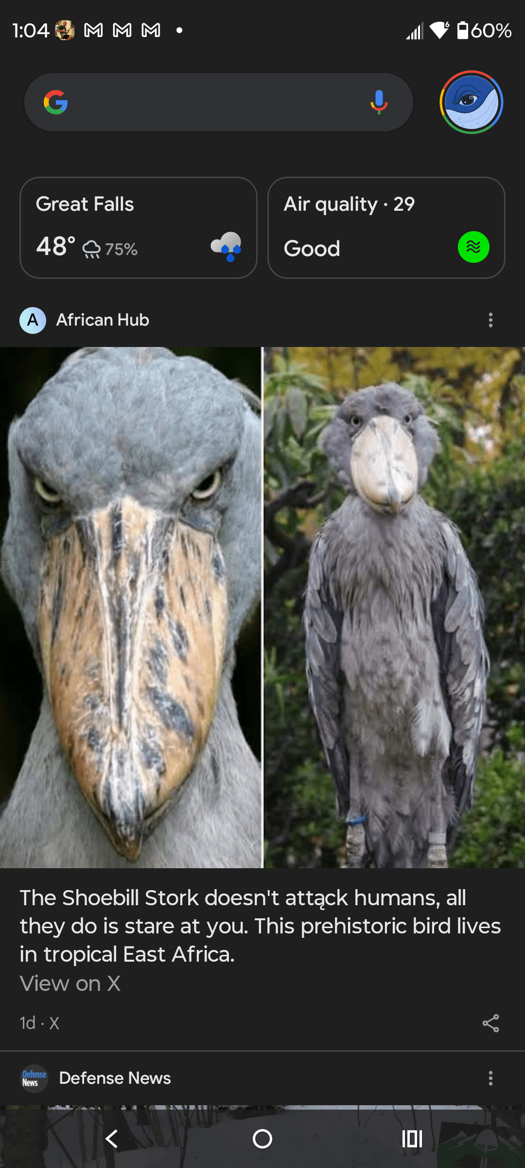 1000139811 - Morgan Plantagenet: Ancestral Cryptology and Genetic Cartography News 1000139811