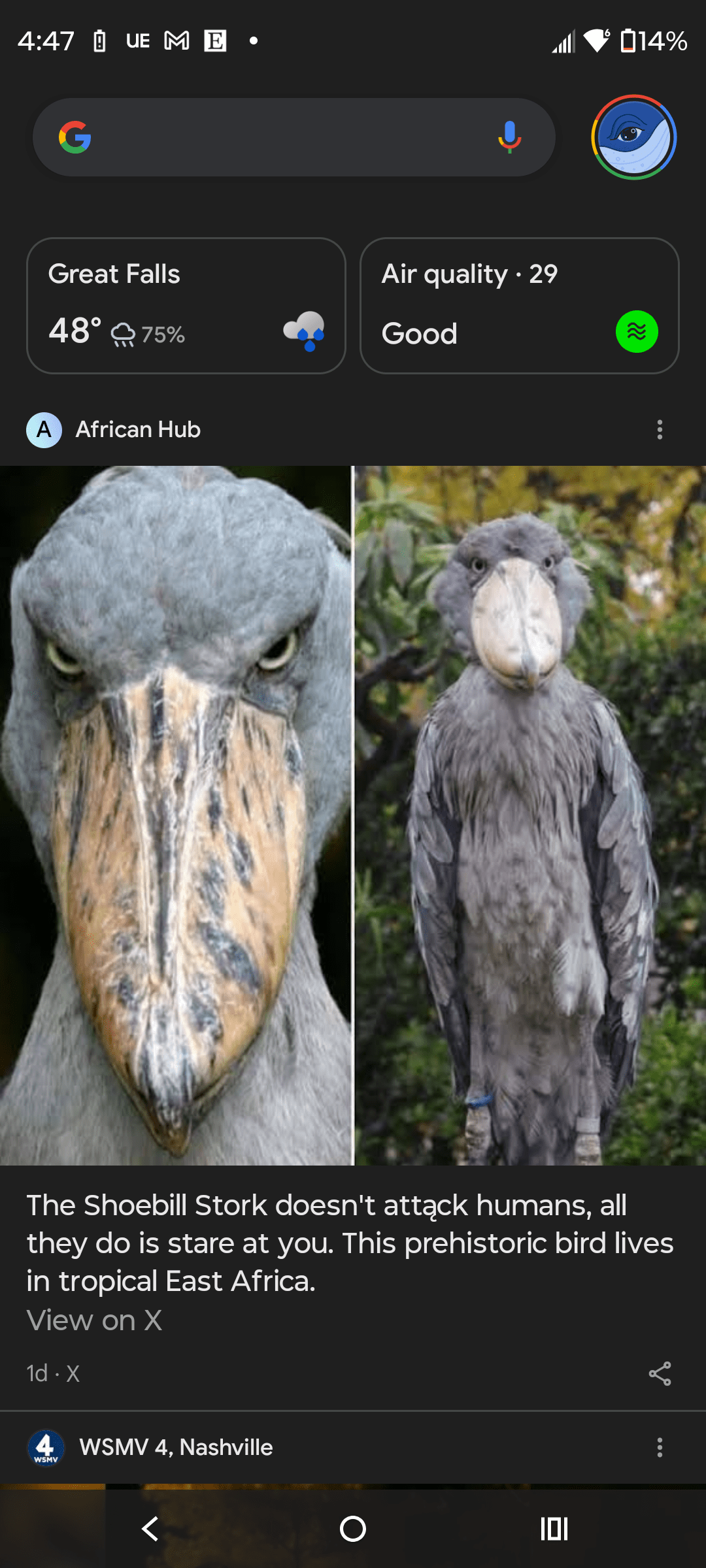 1000139964 - Morgan Plantagenet: Ancestral Cryptology and Genetic Cartography News 1000139964