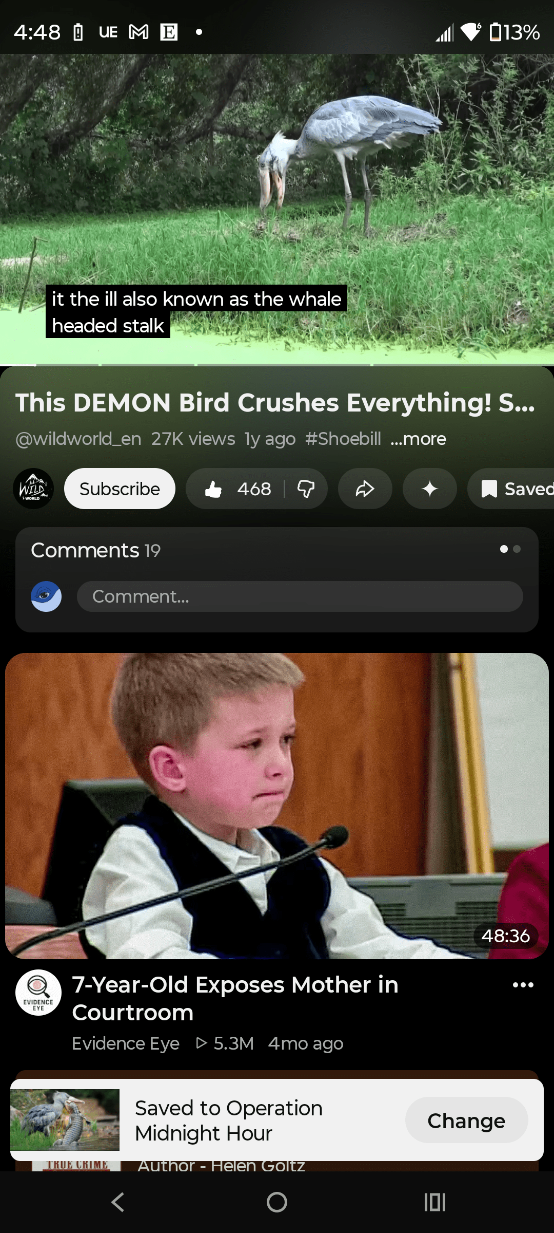 1000139967 - Morgan Plantagenet: Ancestral Cryptology and Genetic Cartography News 1000139967