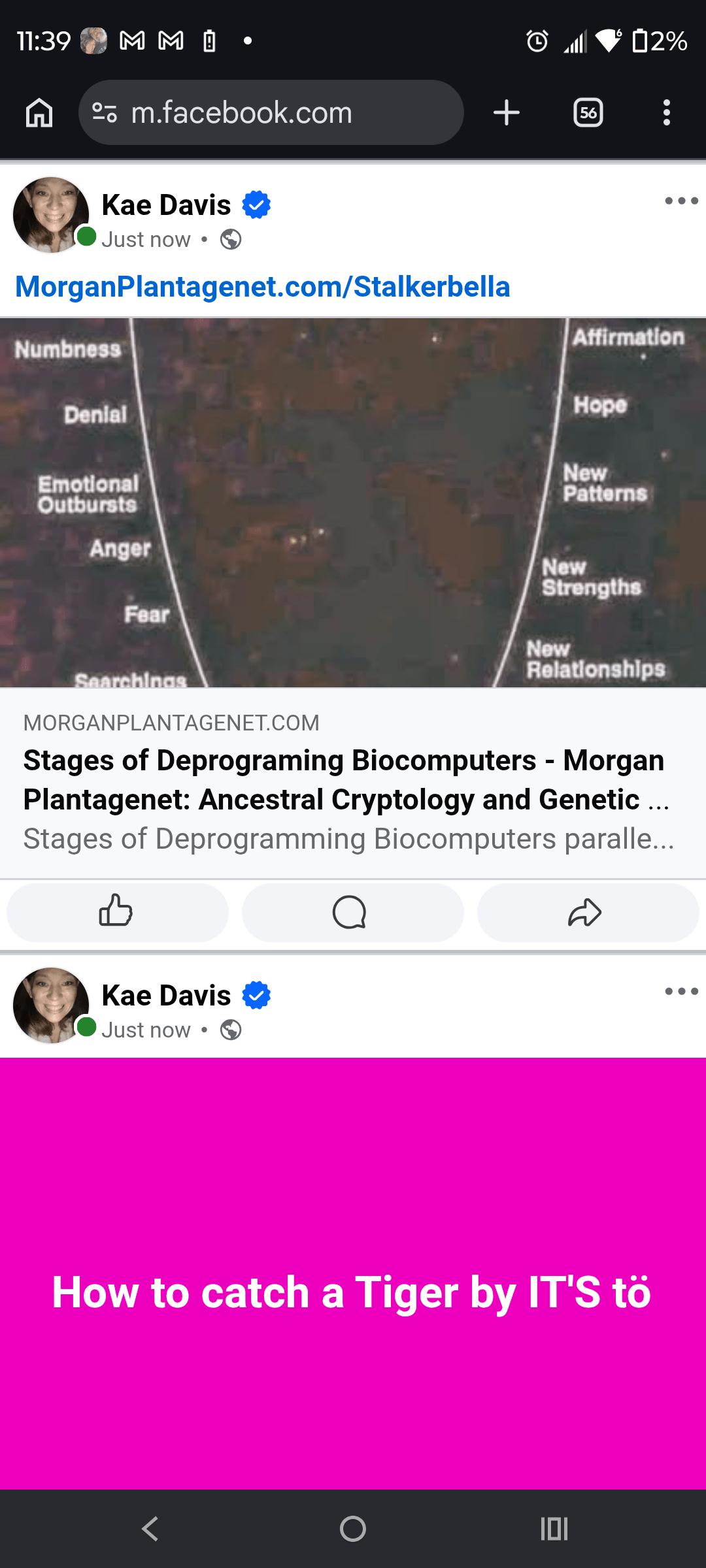 - Morgan Plantagenet: Ancestral Cryptology and Genetic Cartography News