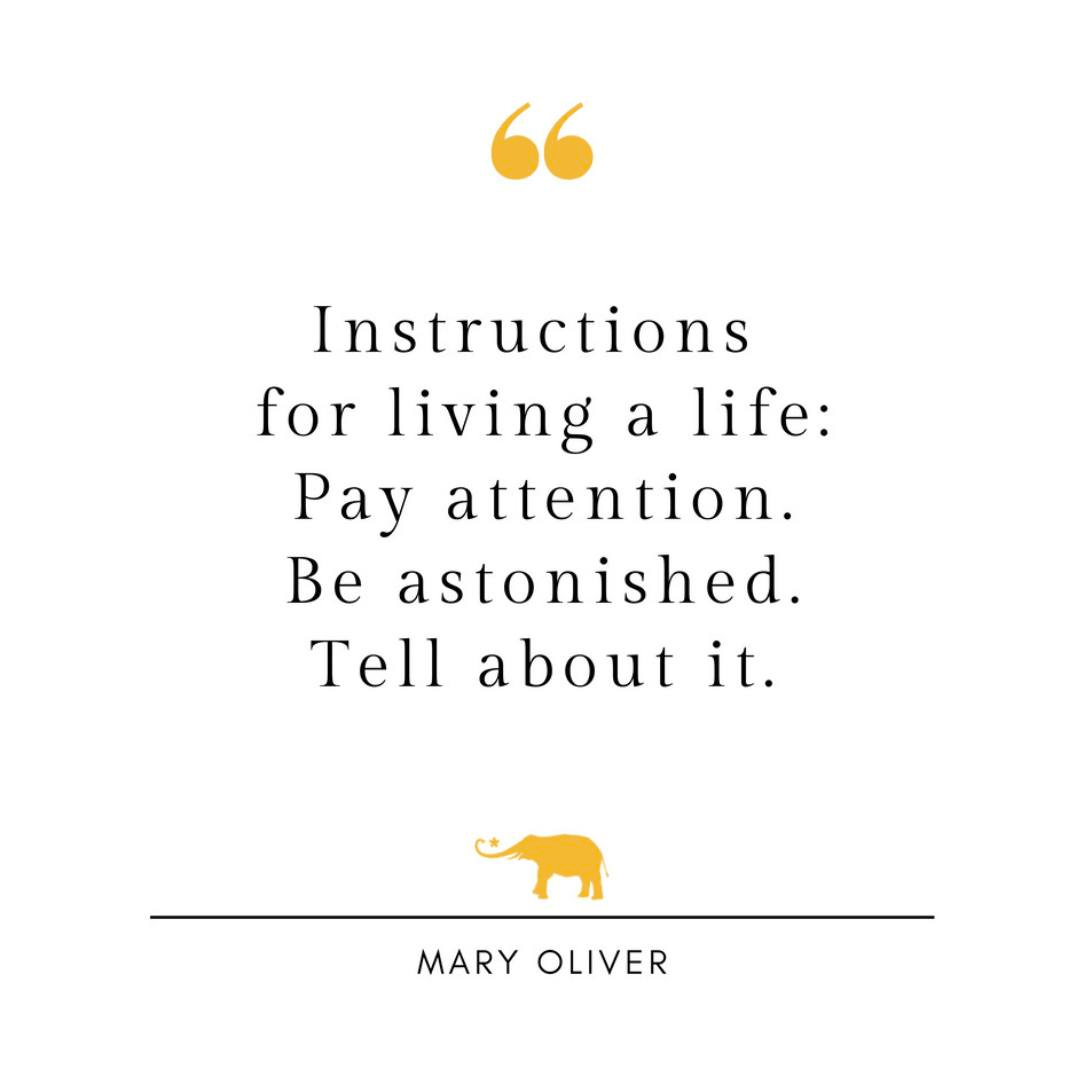 - Morgan Plantagenet: Ancestral Cryptology and Genetic Cartography News