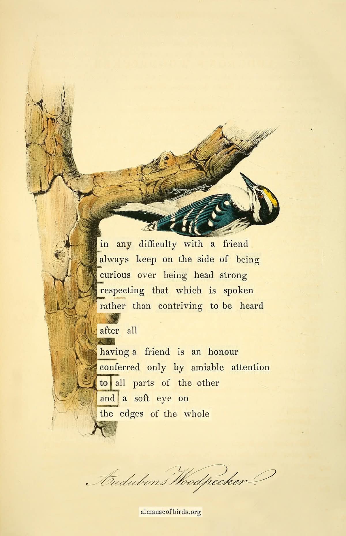 On Friendship With Wood