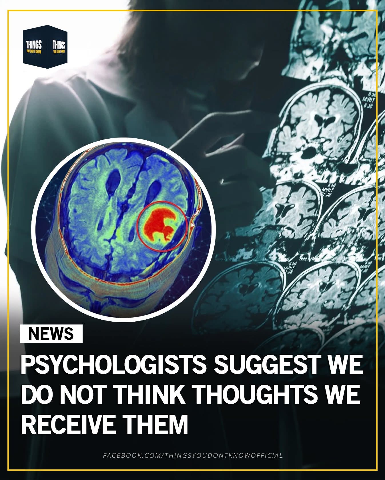 - Morgan Plantagenet: Ancestral Cryptology and Genetic Cartography News