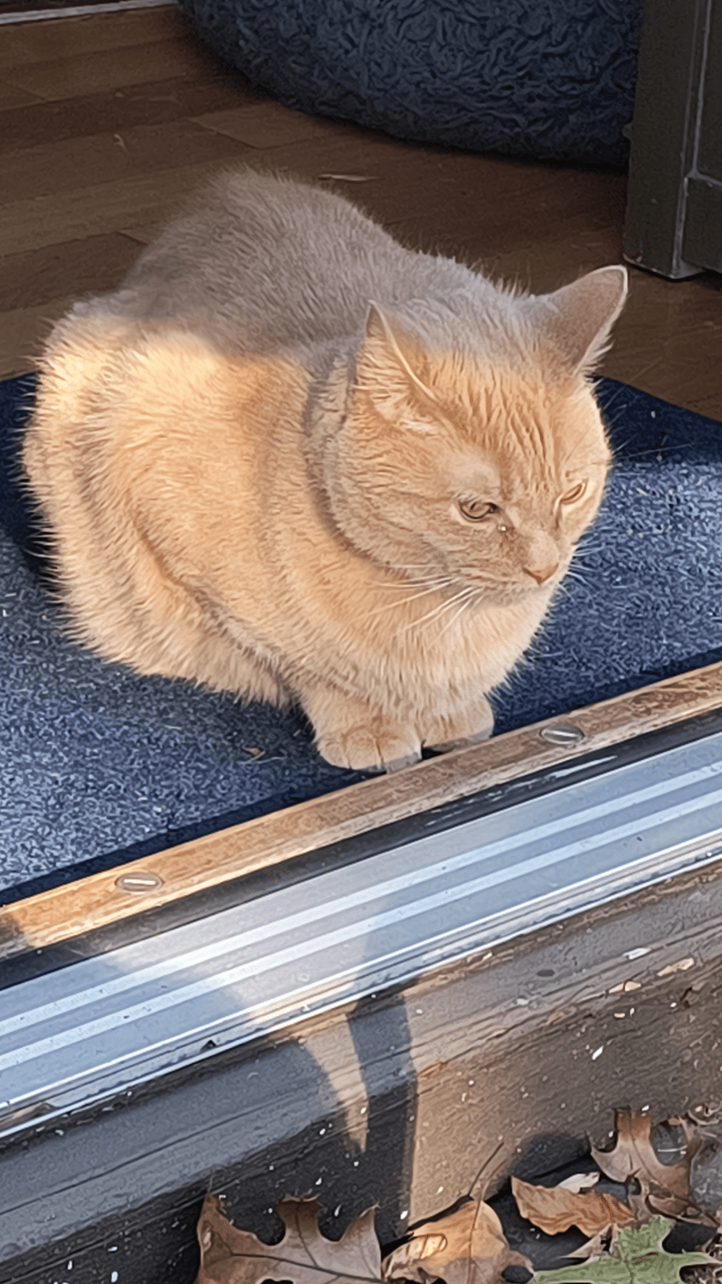 1000125986 scaled - Morgan Plantagenet: Ancestral Cryptology and Genetic Cartography News 1000125986 scaled