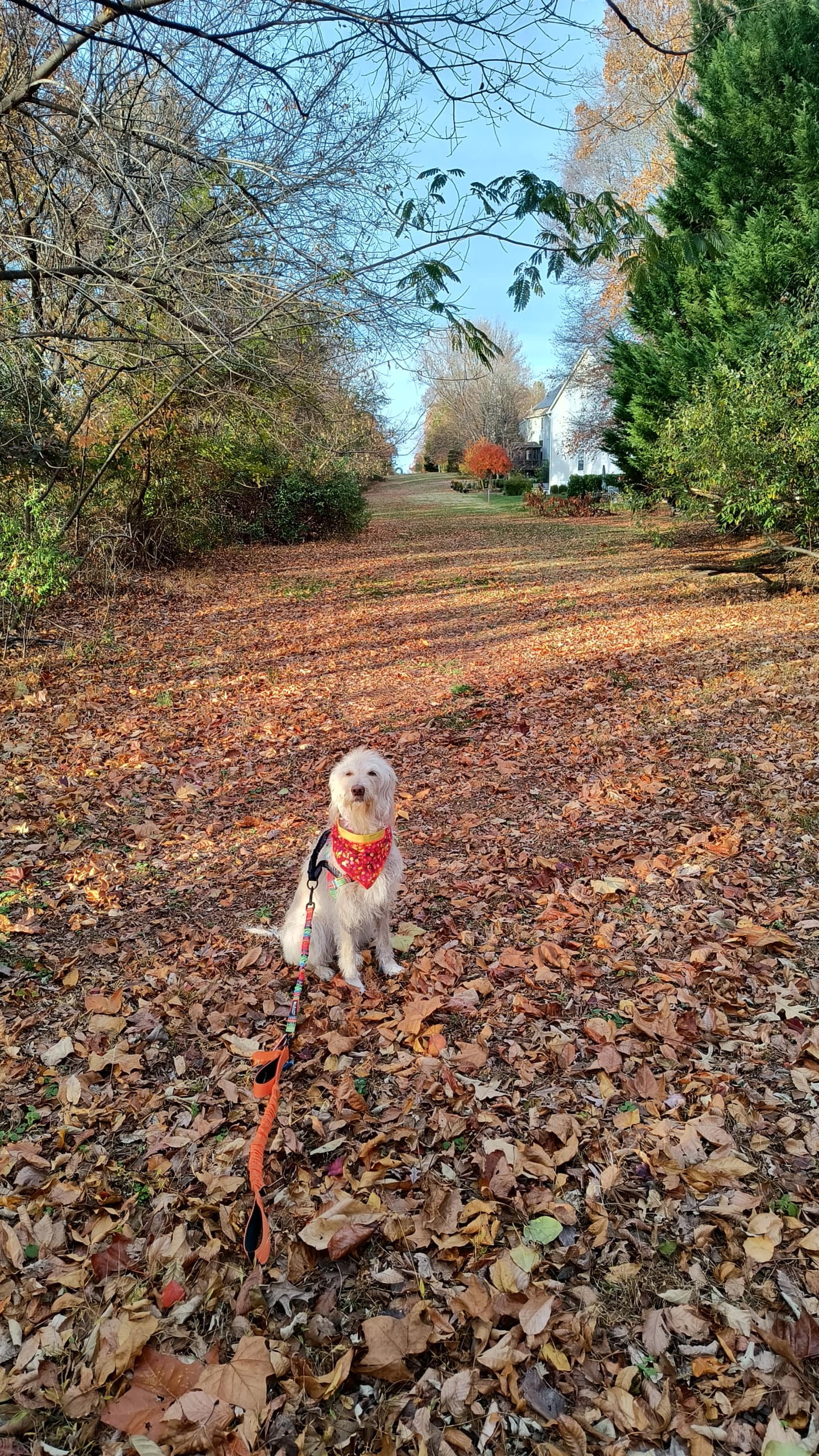 1000126277 scaled - Morgan Plantagenet: Ancestral Cryptology and Genetic Cartography News 1000126277 scaled