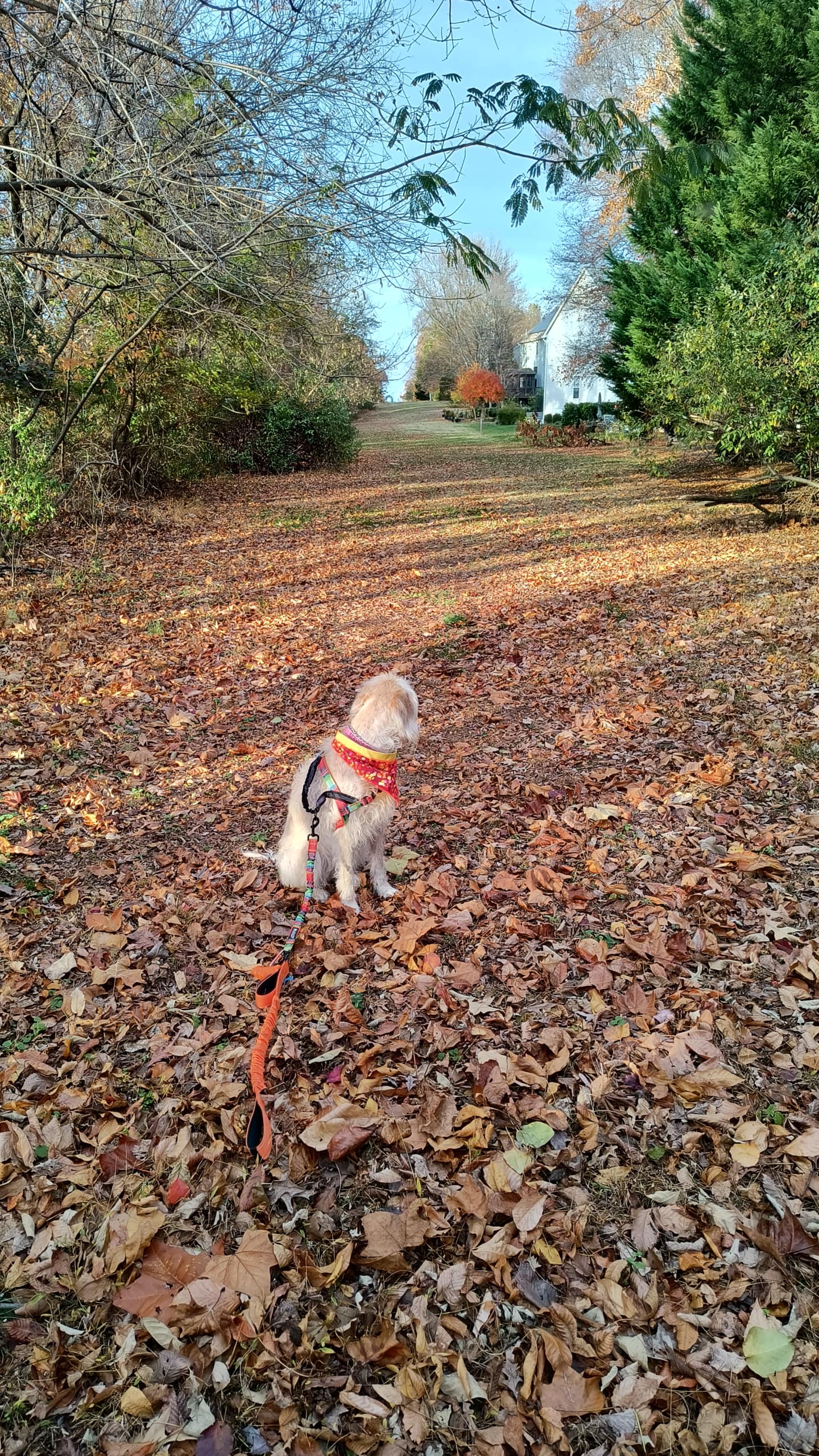 1000126278 scaled - Morgan Plantagenet: Ancestral Cryptology and Genetic Cartography News 1000126278 scaled