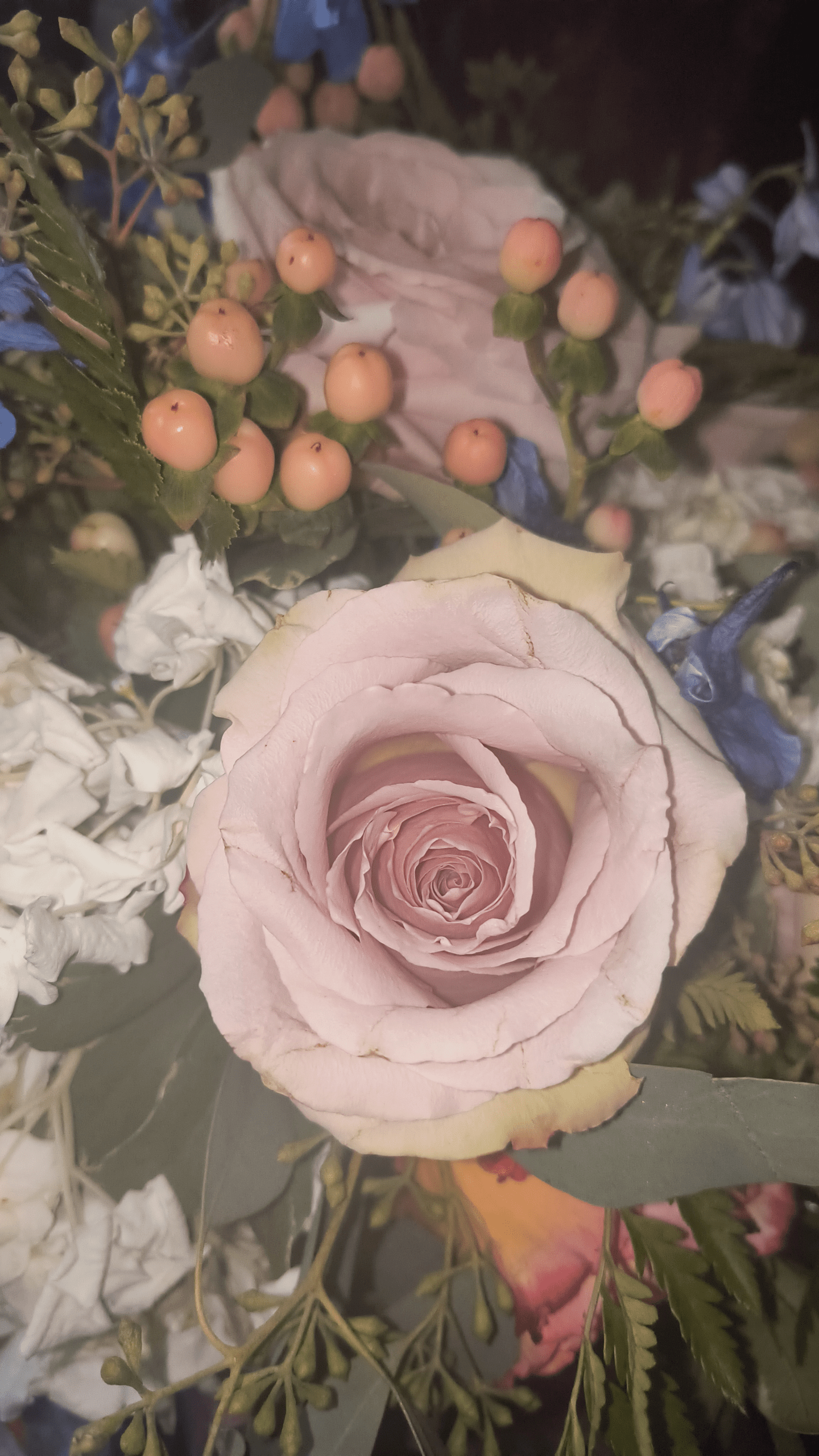 1000126426 scaled - Morgan Plantagenet: Ancestral Cryptology and Genetic Cartography News 1000126426 scaled