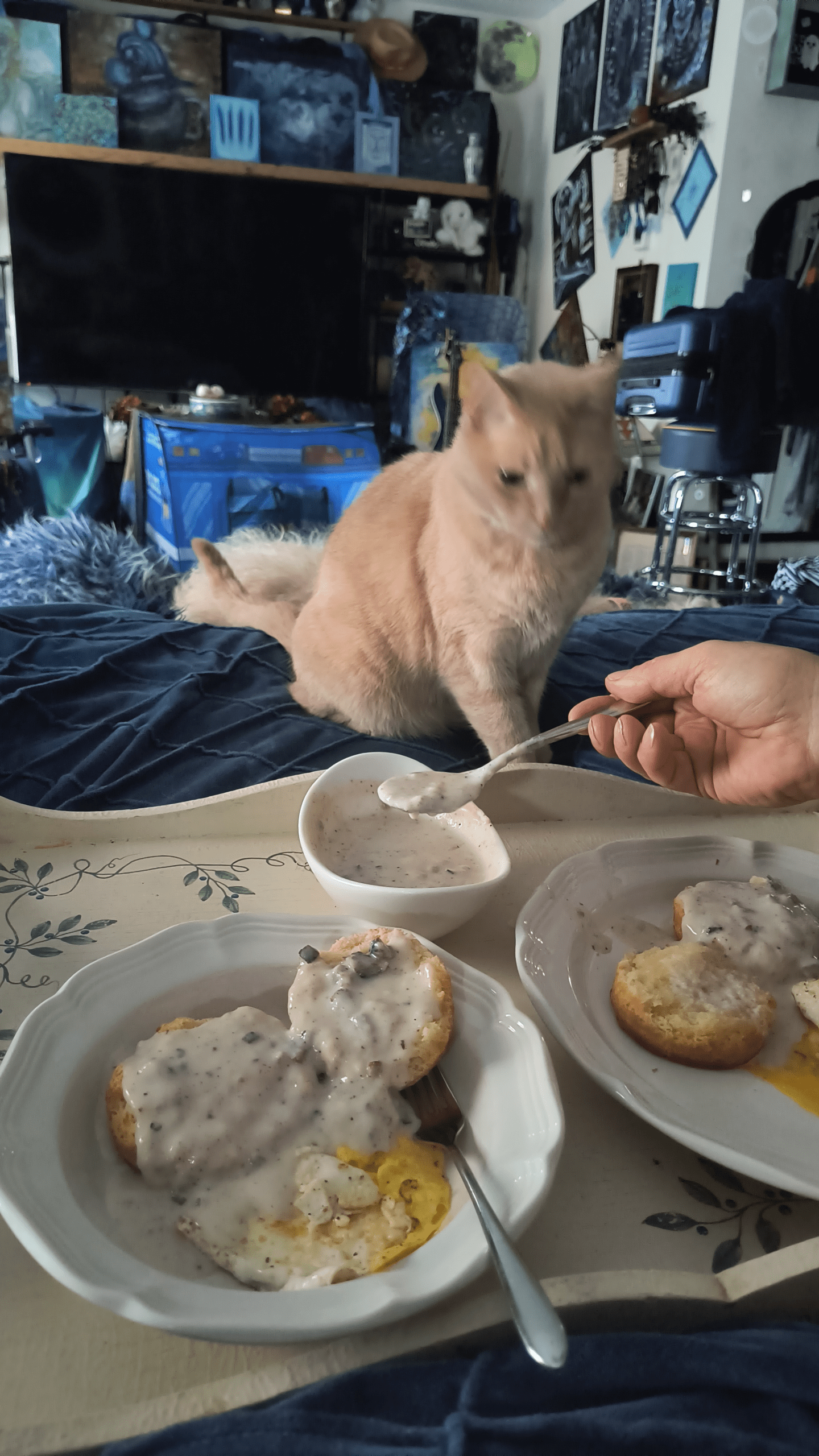 1000128194 - Morgan Plantagenet: Ancestral Cryptology and Genetic Cartography News 1000128194