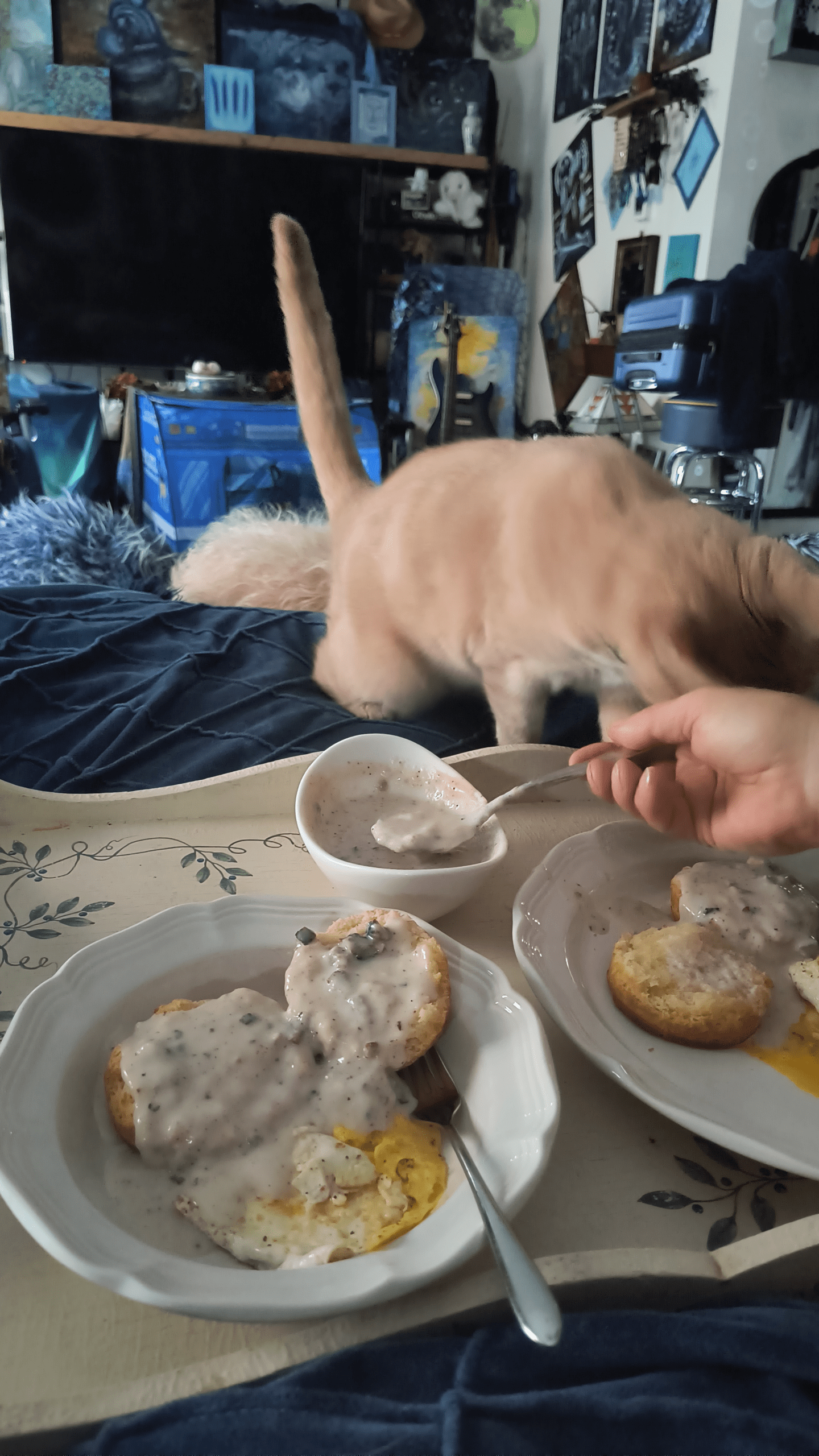 1000128195 - Morgan Plantagenet: Ancestral Cryptology and Genetic Cartography News 1000128195