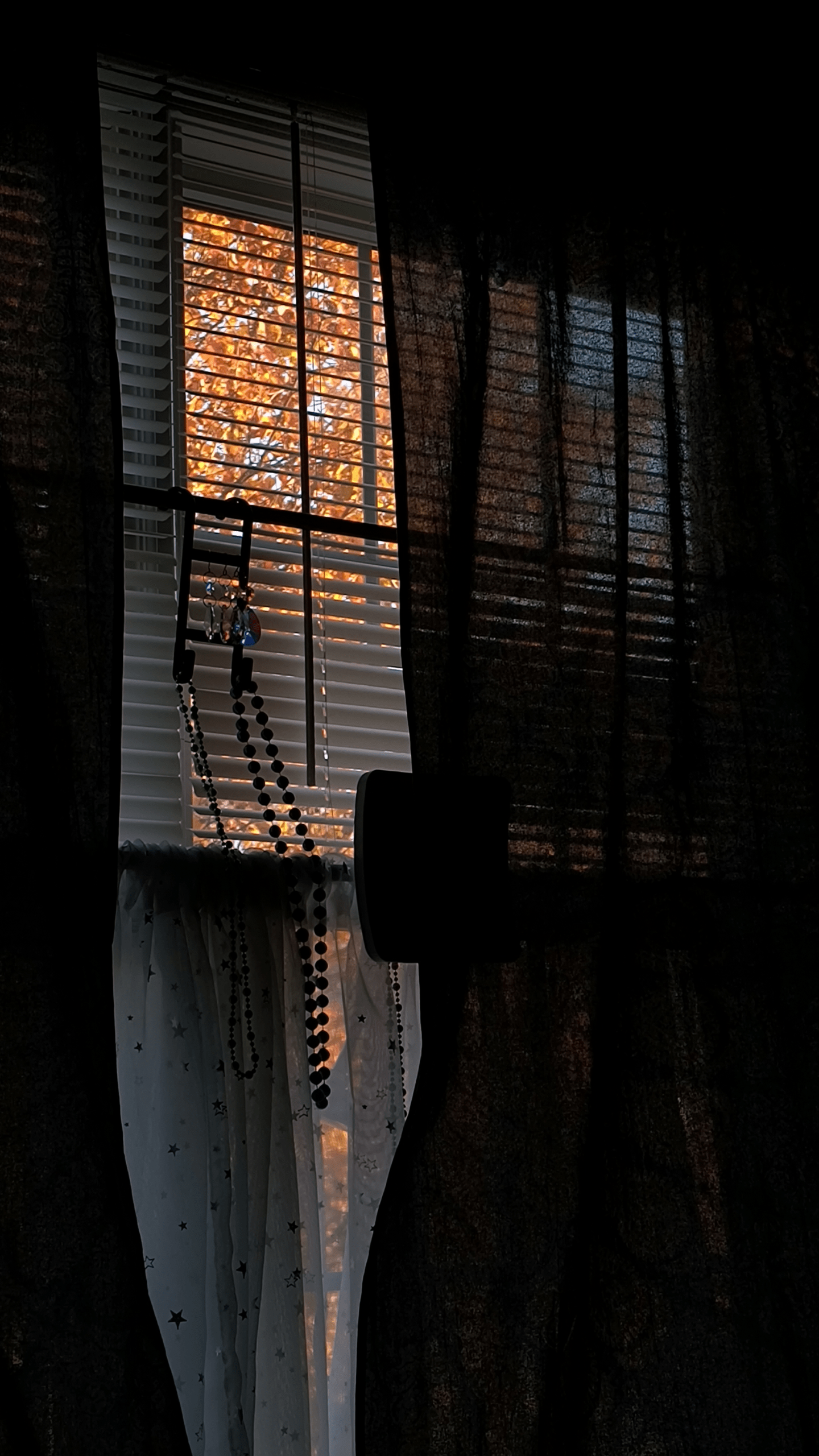 1000128331 - Morgan Plantagenet: Ancestral Cryptology and Genetic Cartography News 1000128331