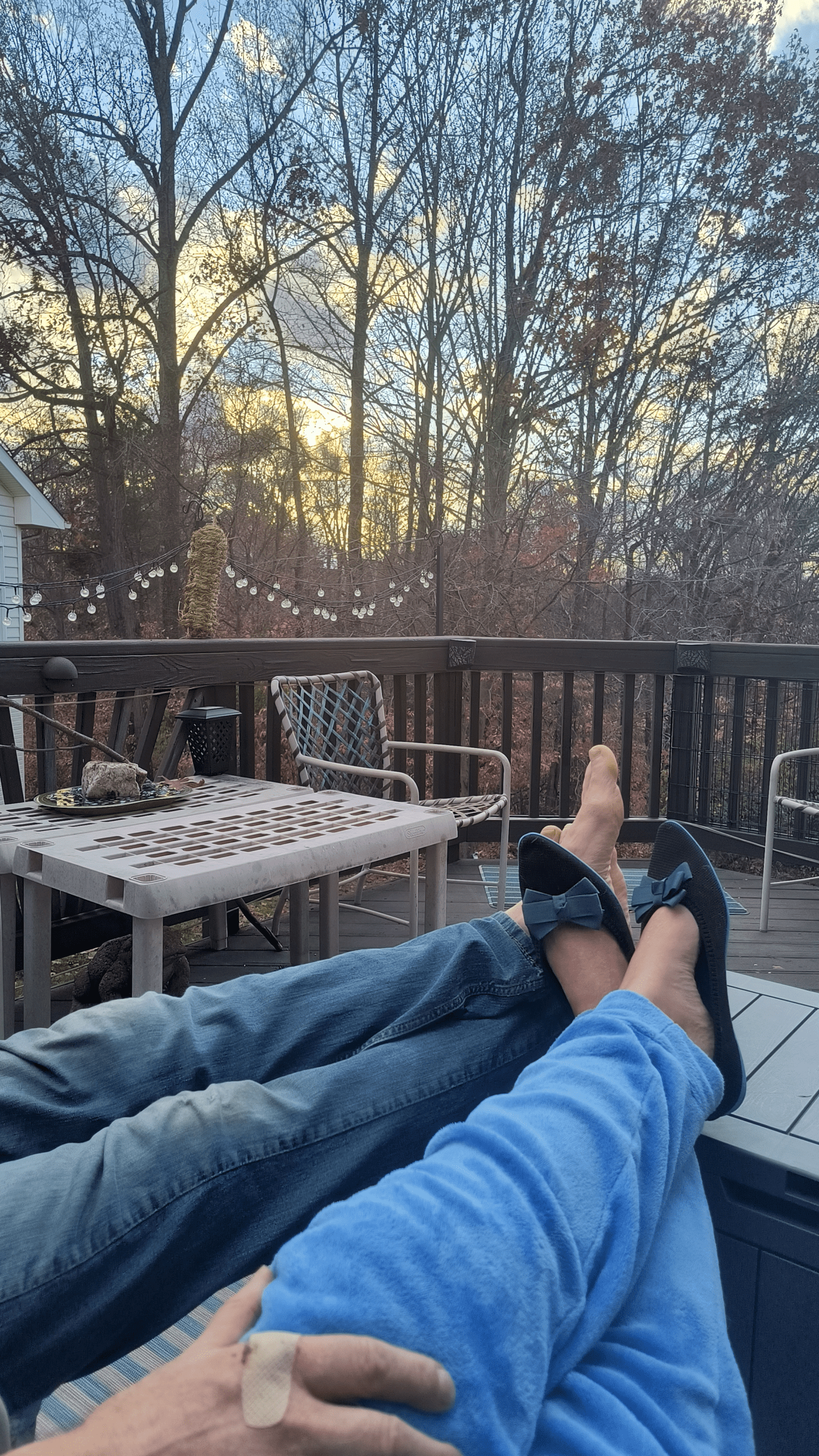 1000128643 - Morgan Plantagenet: Ancestral Cryptology and Genetic Cartography News 1000128643