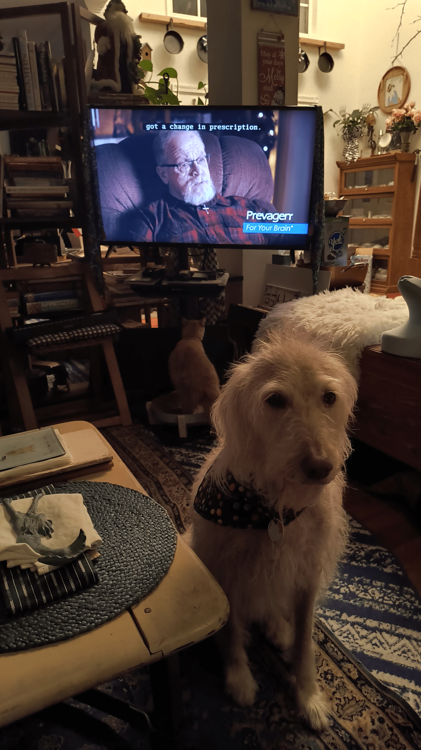 1000130424 - Morgan Plantagenet: Ancestral Cryptology and Genetic Cartography News 1000130424