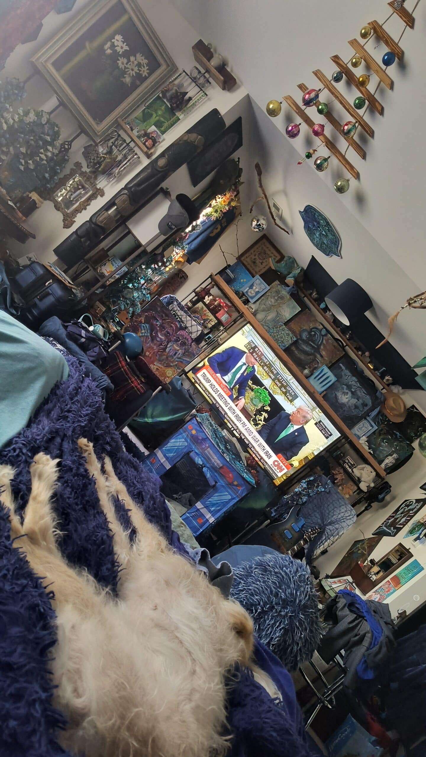 1000139761 - Morgan Plantagenet: Ancestral Cryptology and Genetic Cartography News 1000139761