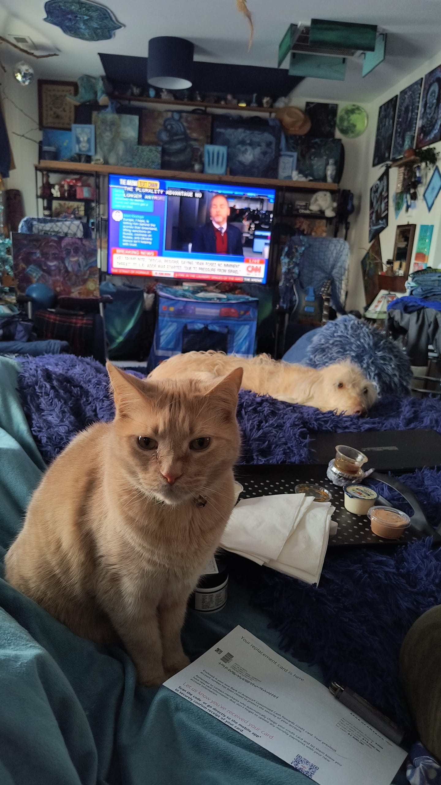 1000139944 - Morgan Plantagenet: Ancestral Cryptology and Genetic Cartography News 1000139944