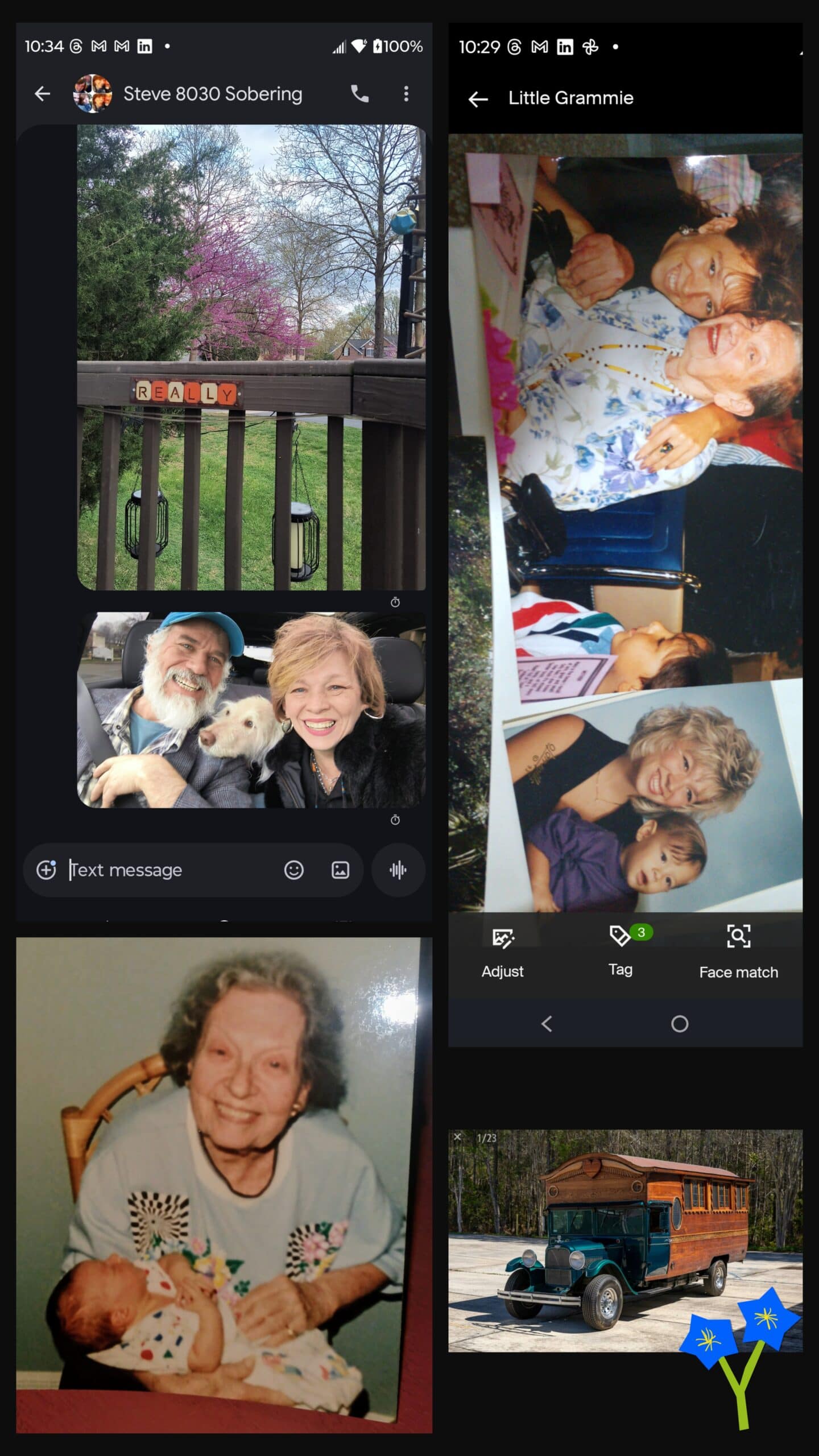 - Morgan Plantagenet: Ancestral Cryptology and Genetic Cartography News