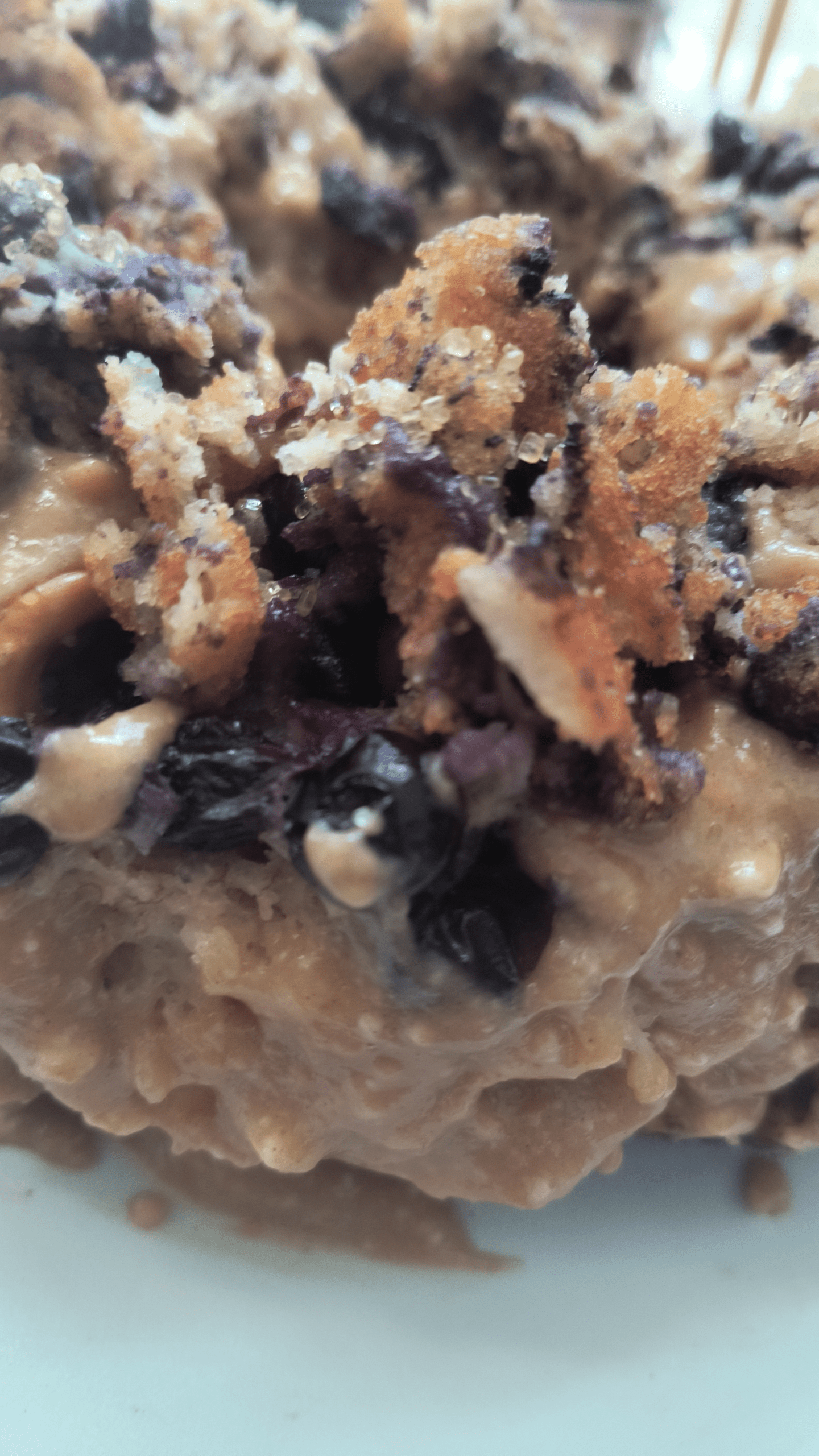 - Morgan Plantagenet: Ancestral Cryptology and Genetic Cartography News